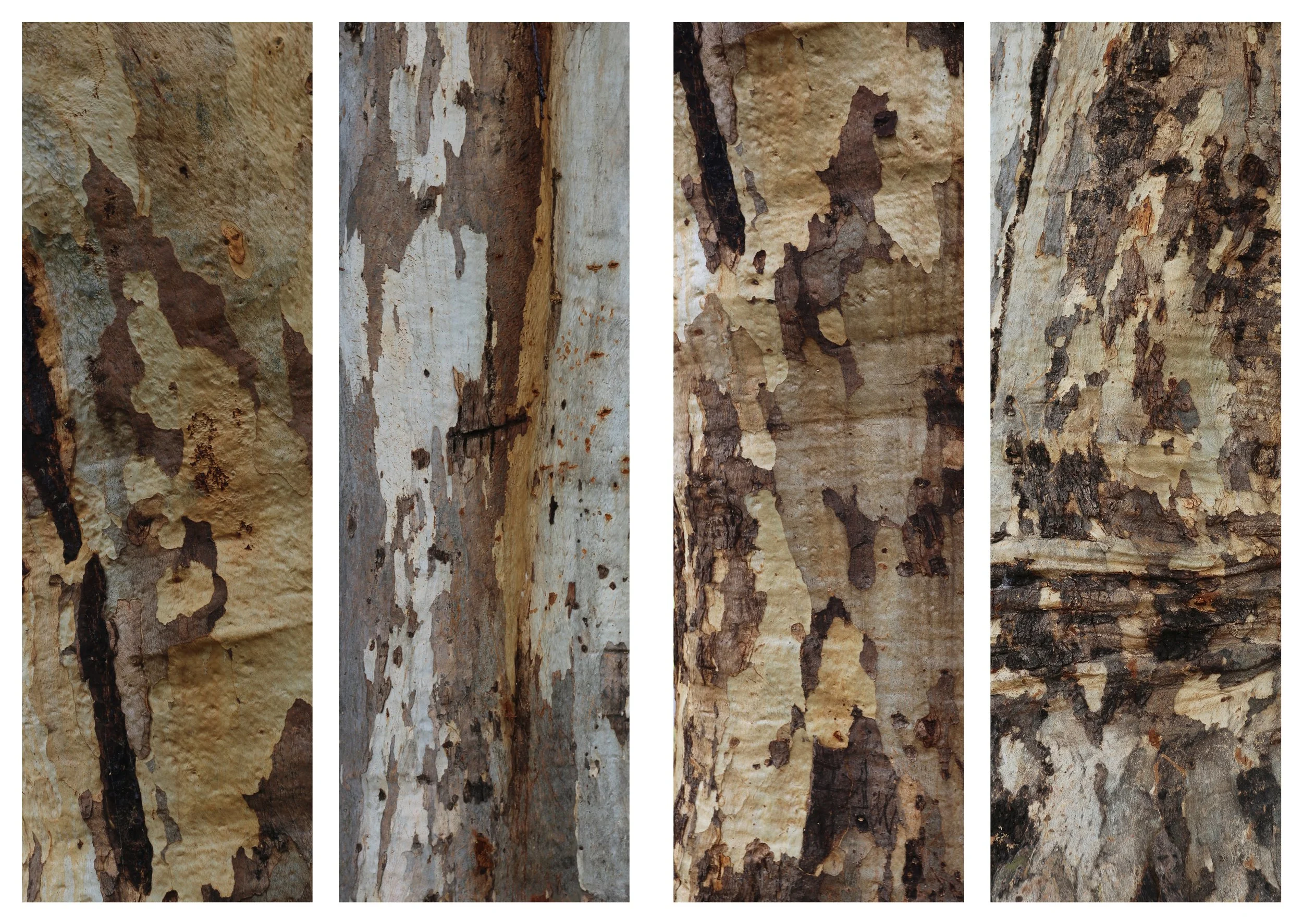 Final Portfolio 012.jpg