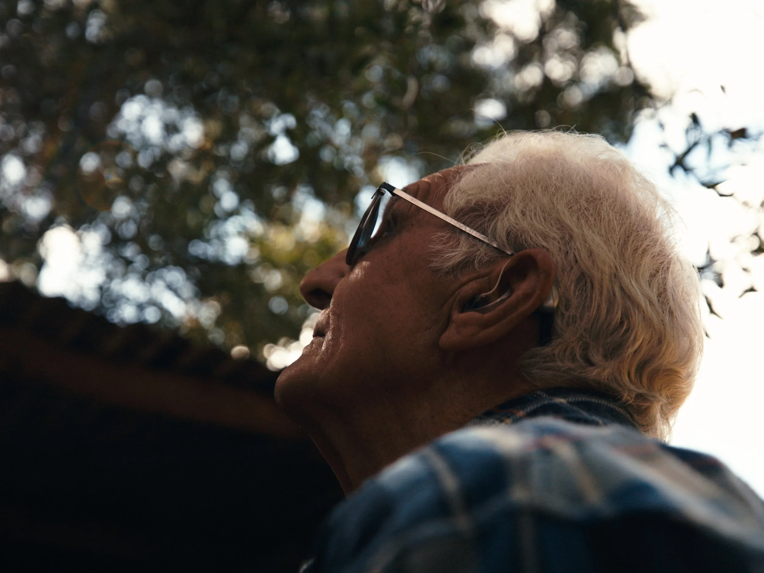 Sequence 02.00_01_15_03.Still001.jpg