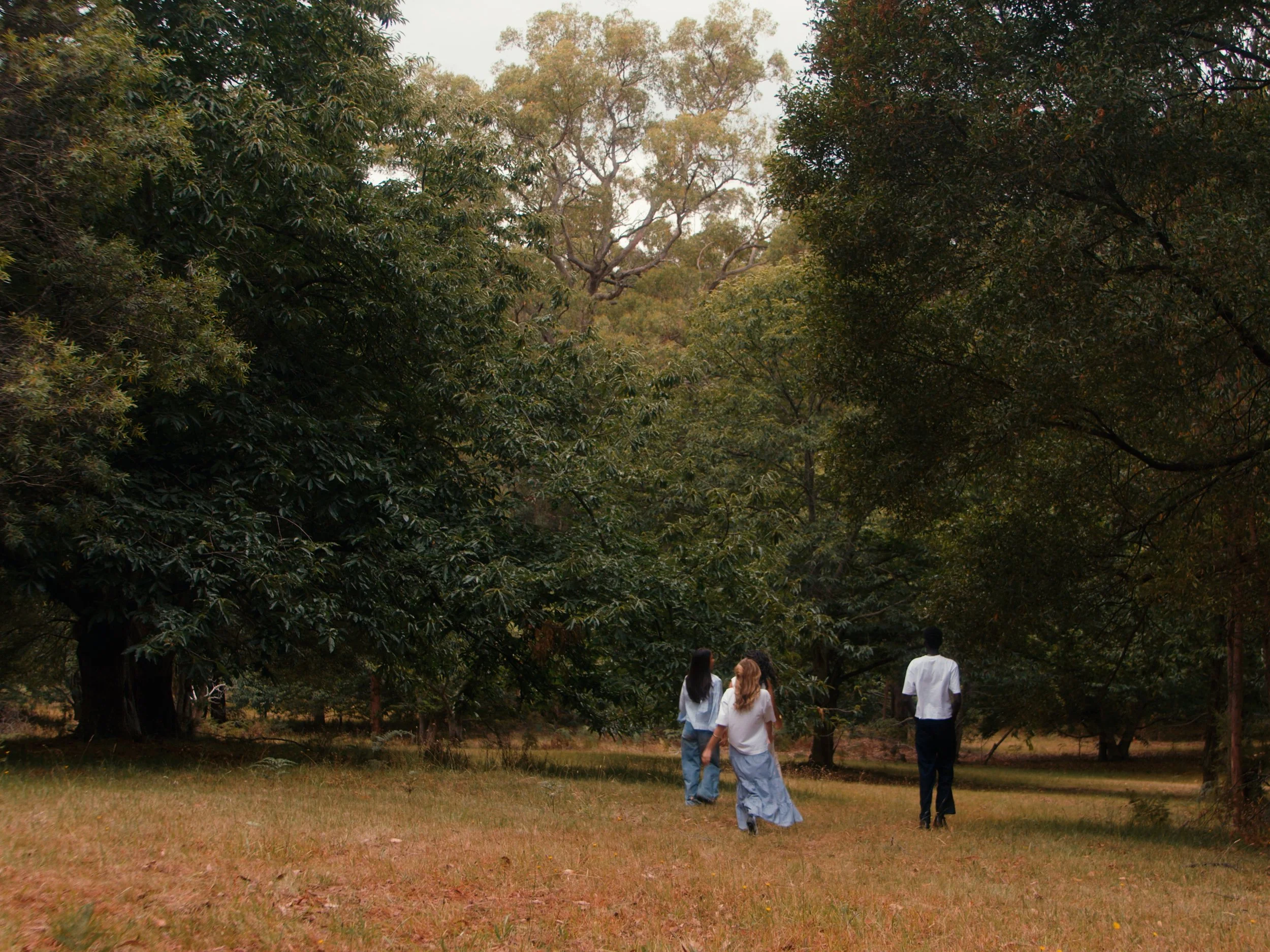 Sequence 02.00_01_33_06.Still011.jpg