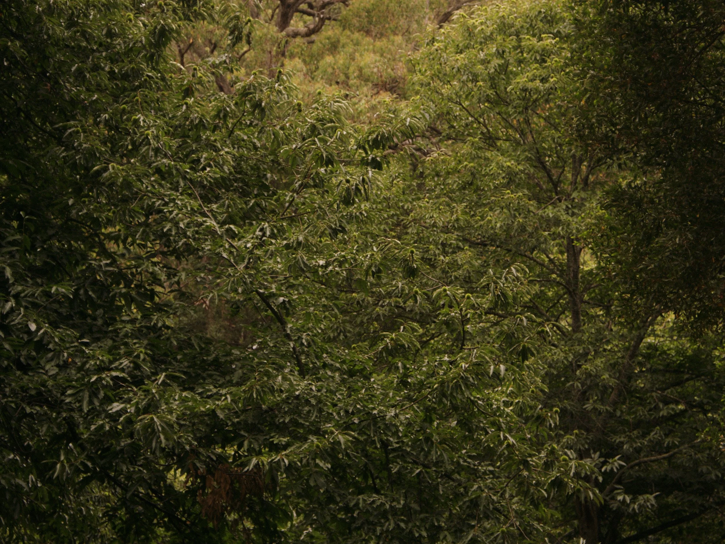 Sequence 02.00_01_26_04.Still009.jpg