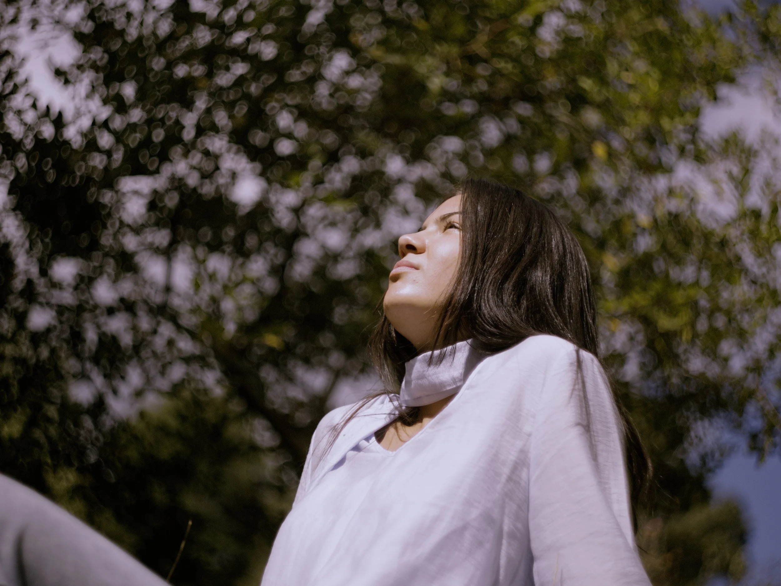 Sequence 02.00_01_29_14.Still010.jpg