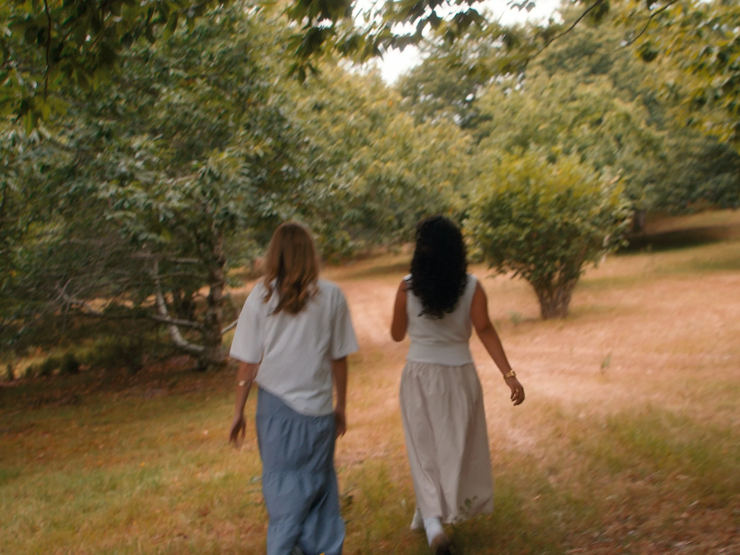 Sequence 02.00_02_46_02.Still023.jpg