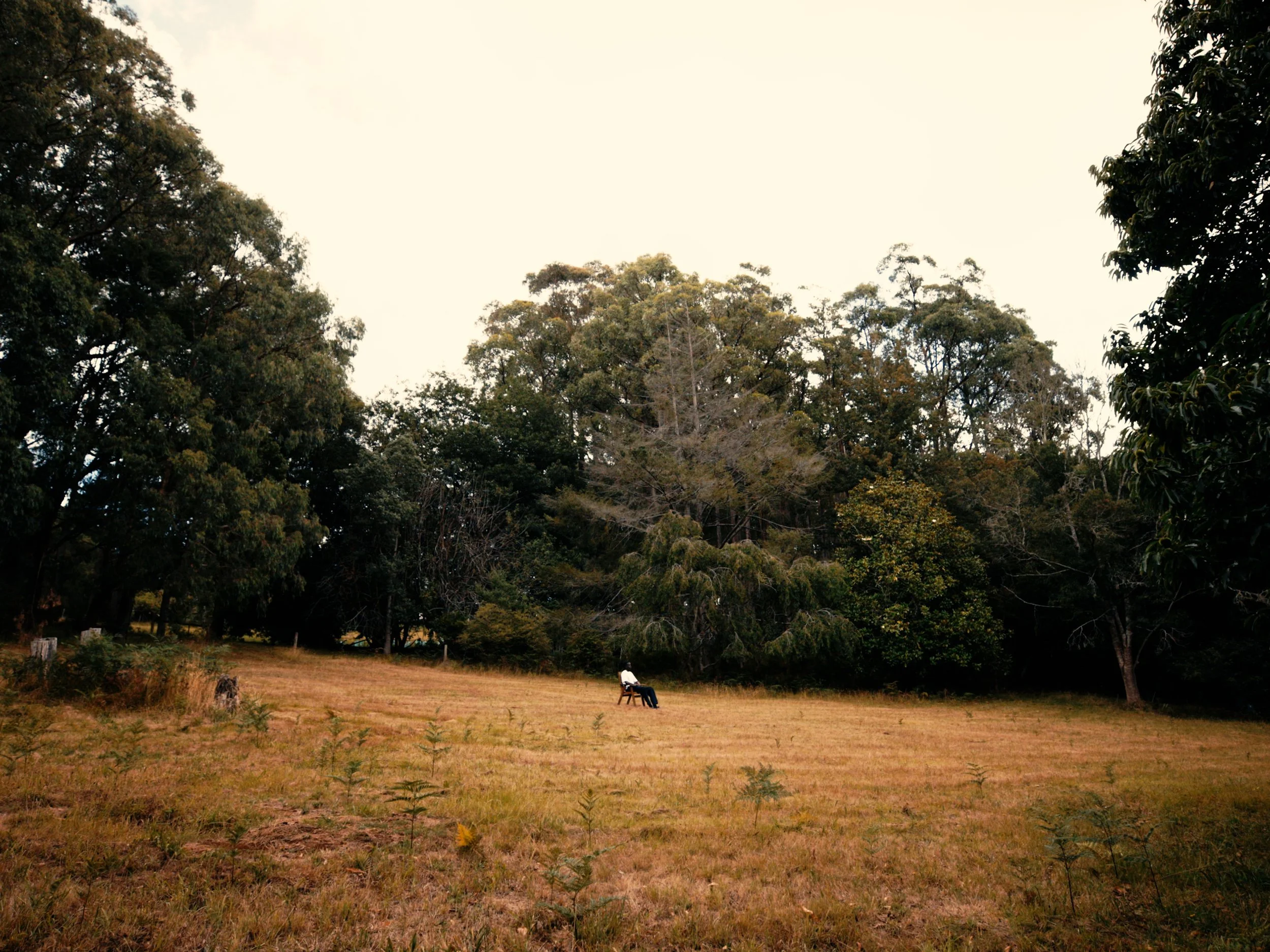 Sequence 02.00_00_52_02.Still003.jpg