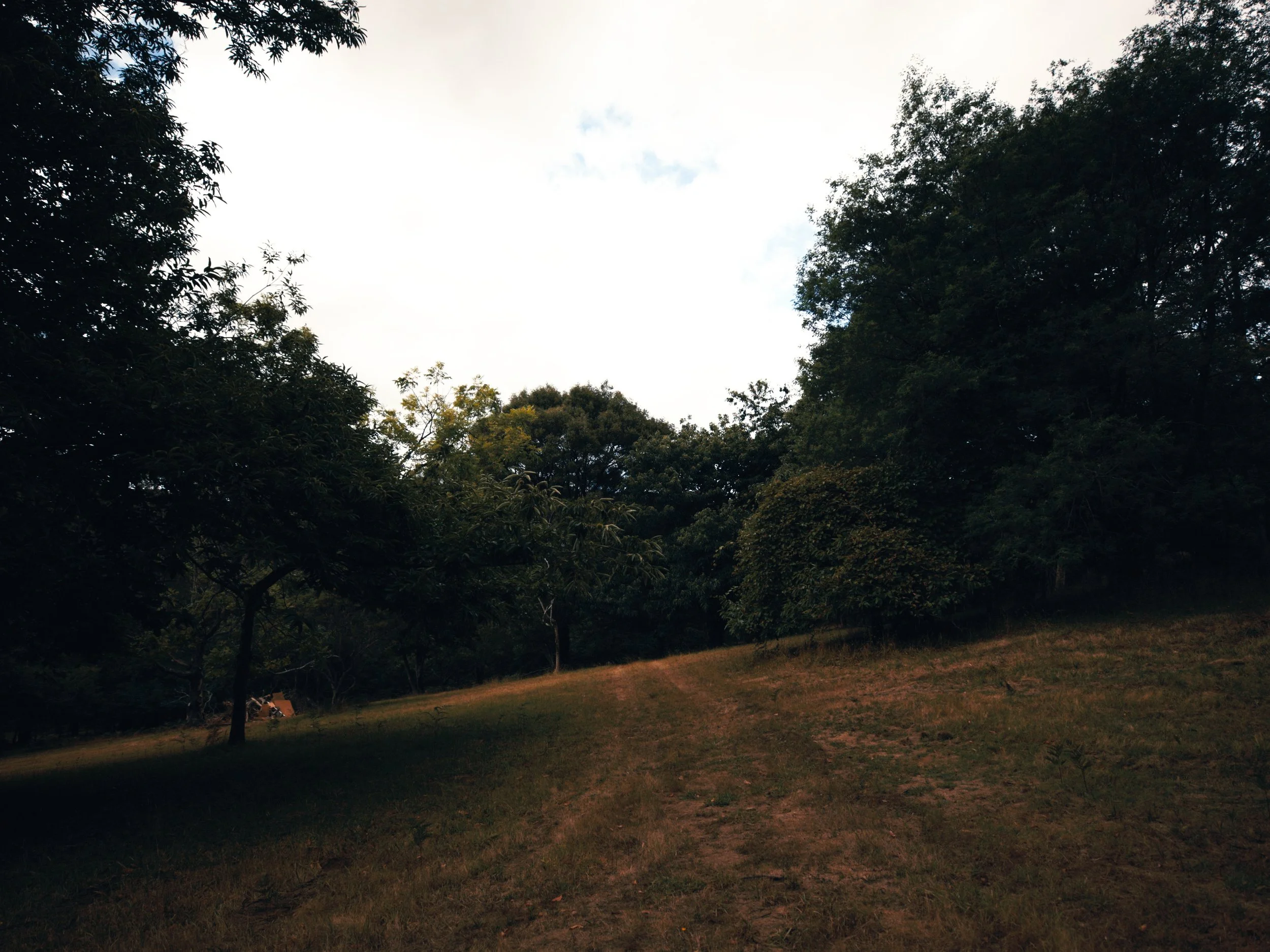 Sequence 02.00_02_20_24.Still020.jpg