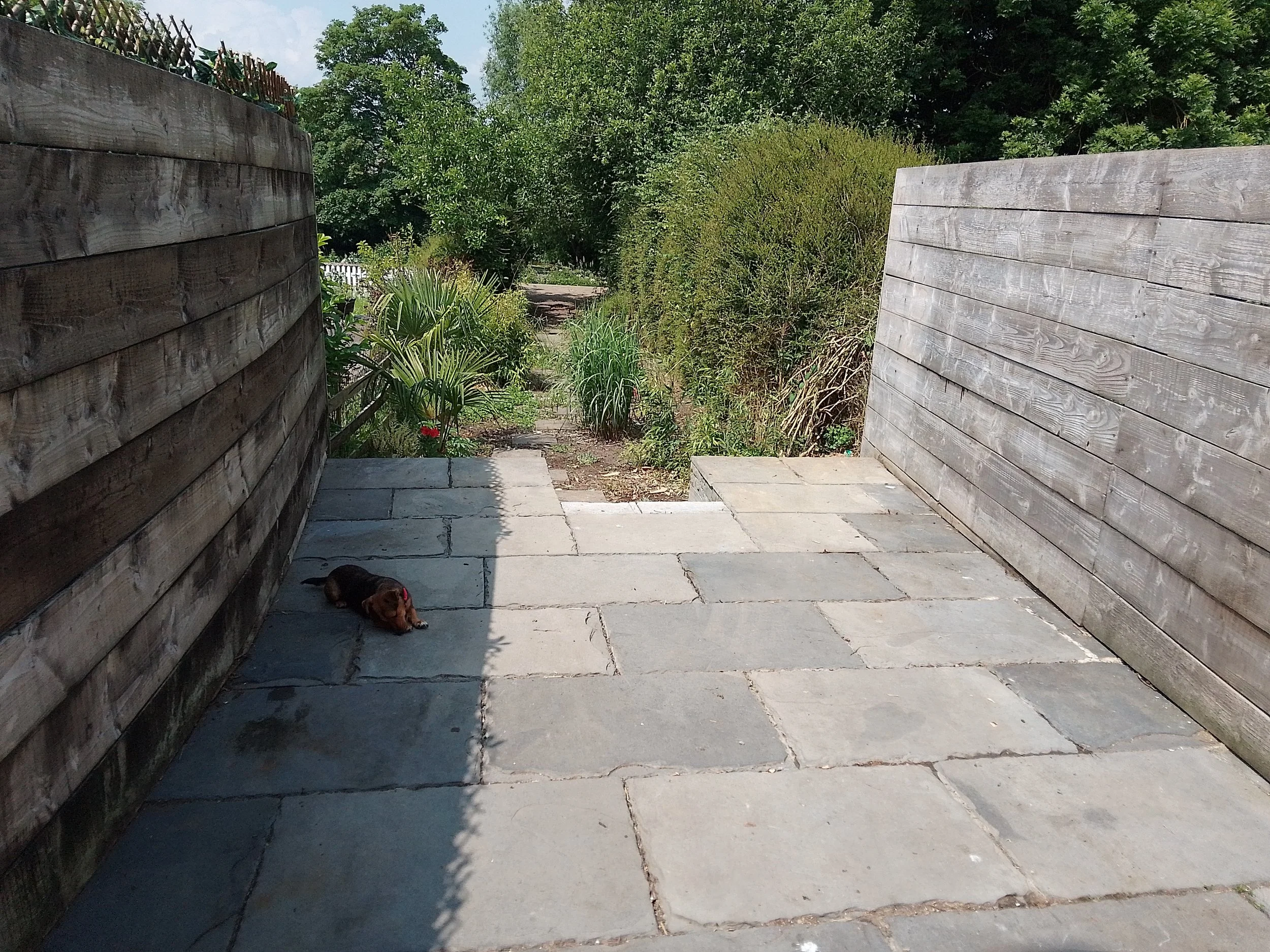 Patio, wall fencing planting decking, Garden swankifing services.jpg