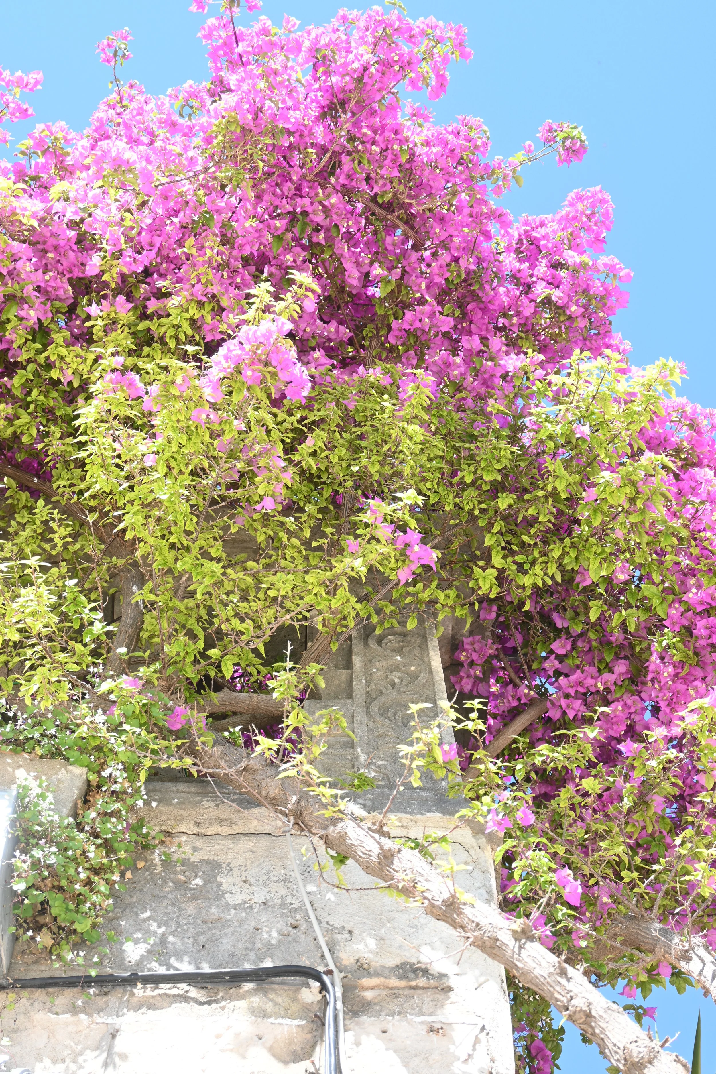 Crowd your life with beauty. Find your favourite colour, the one that lights you up and weave it into your days. Maybe a new shade of lipstick, a cute vintage dress, a new handbag? 