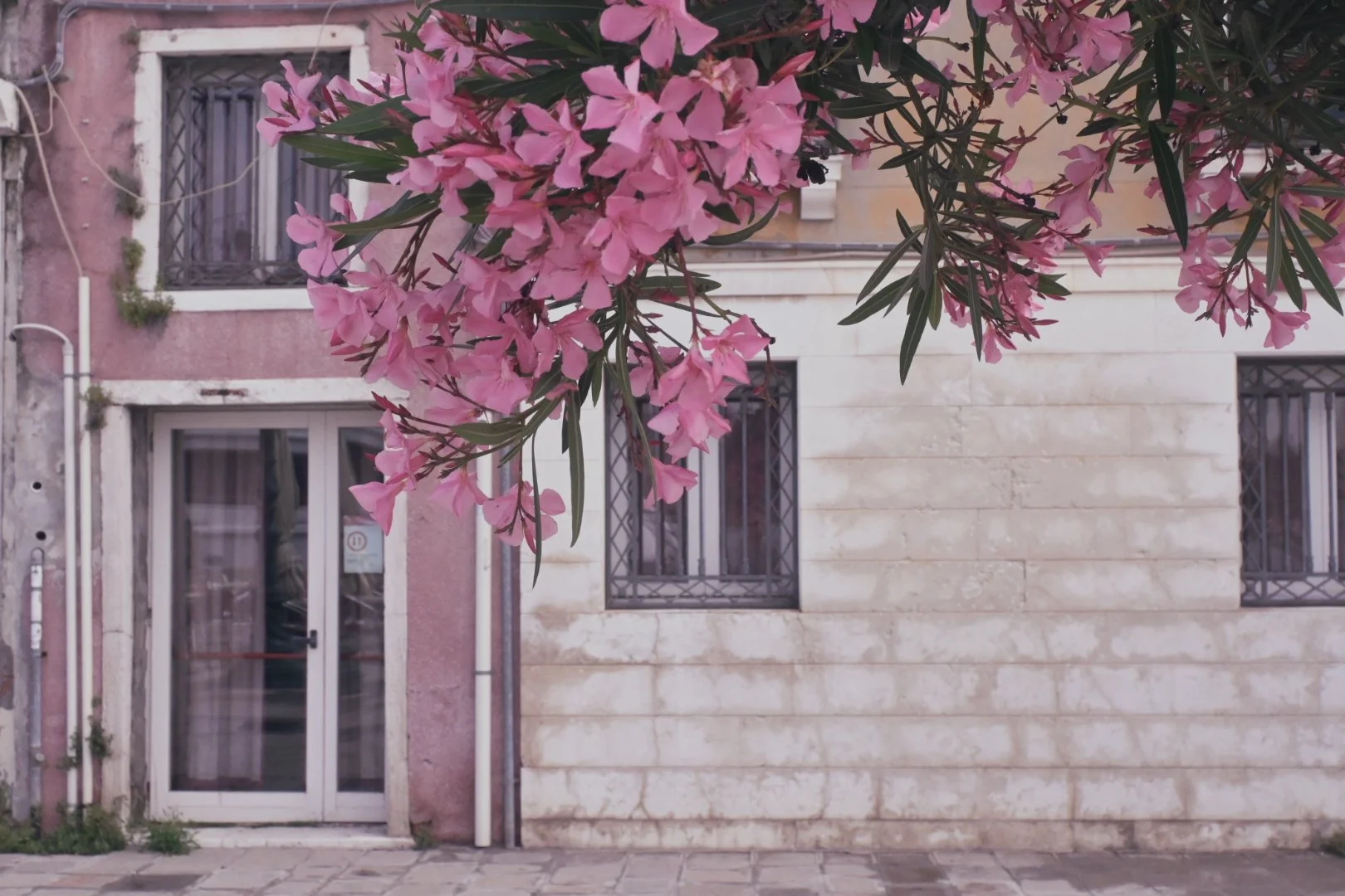DSC_0791.jpeg
