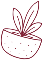 planner for teachers who want structure without pressure