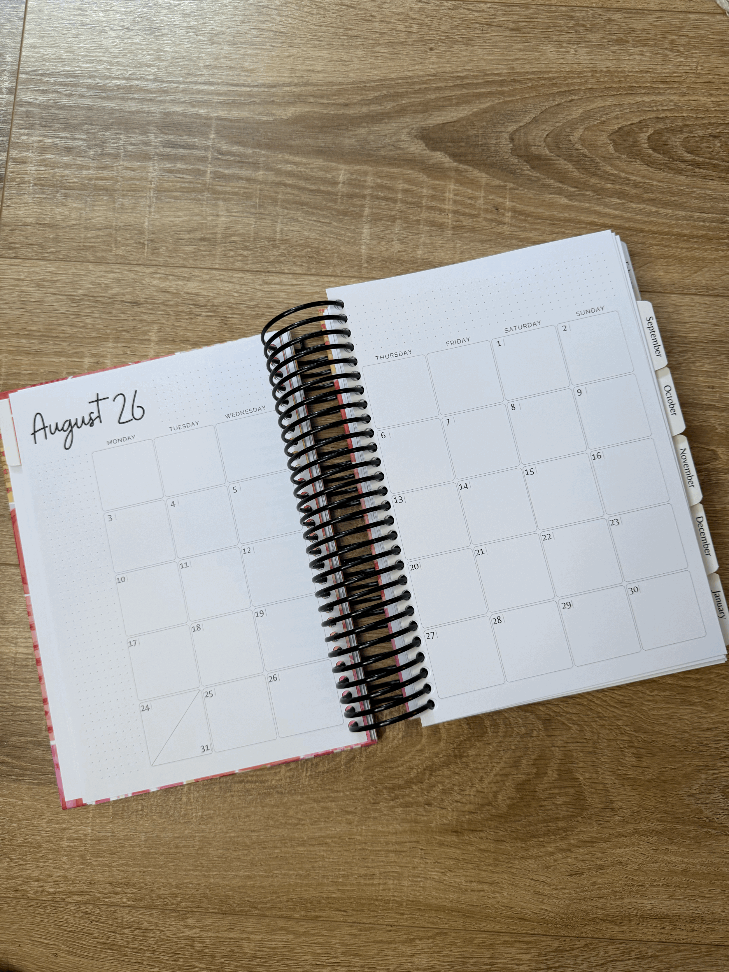 tempImageb10LSC.gif (Copy)