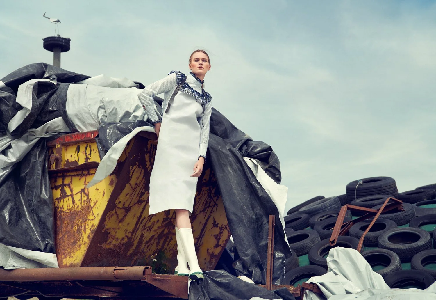 Frank Groll_Grainbird_TuemlauerKoog_Editorial_03.jpg