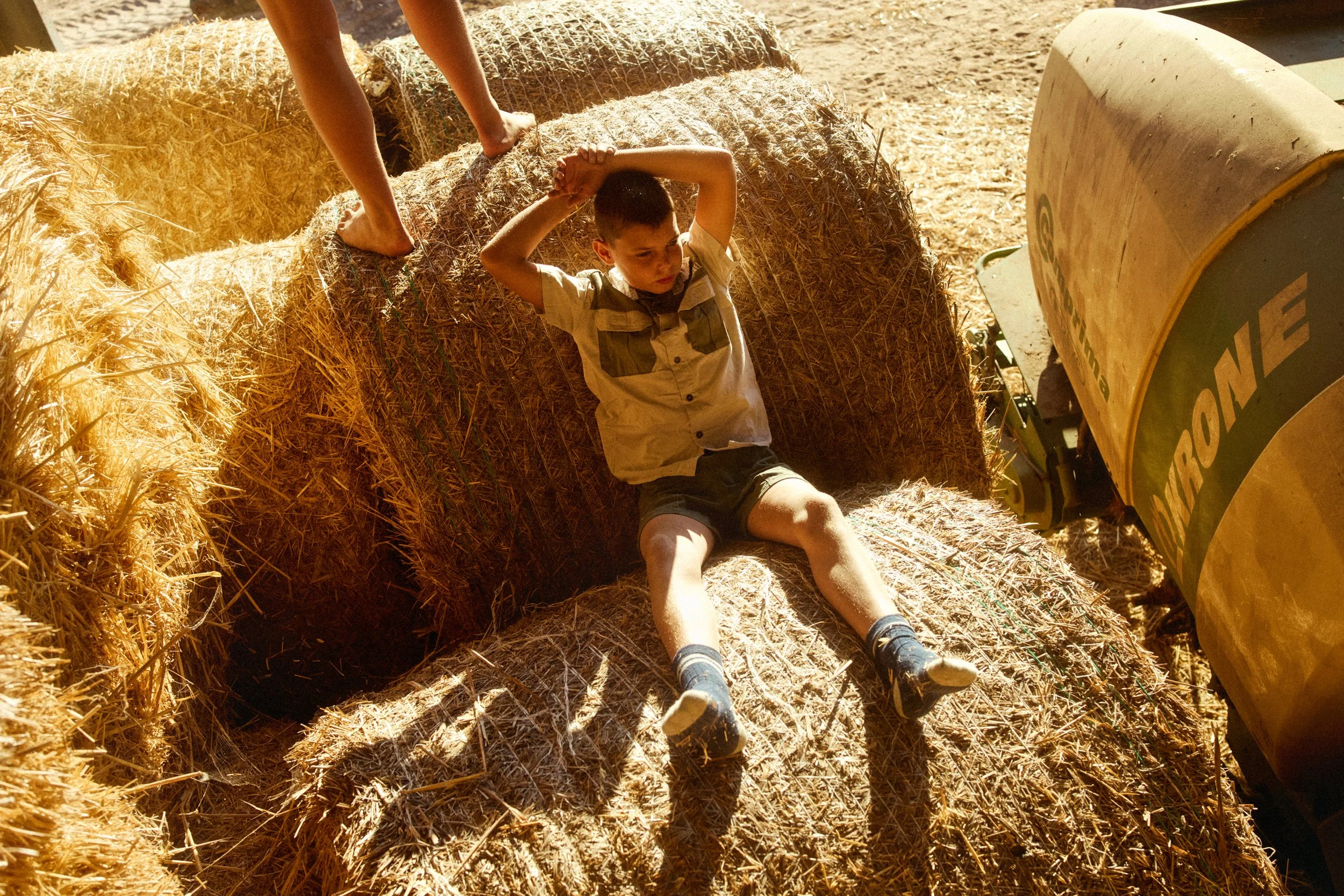 Grainbird_MoritzLeisen_Farmlife_004.jpg