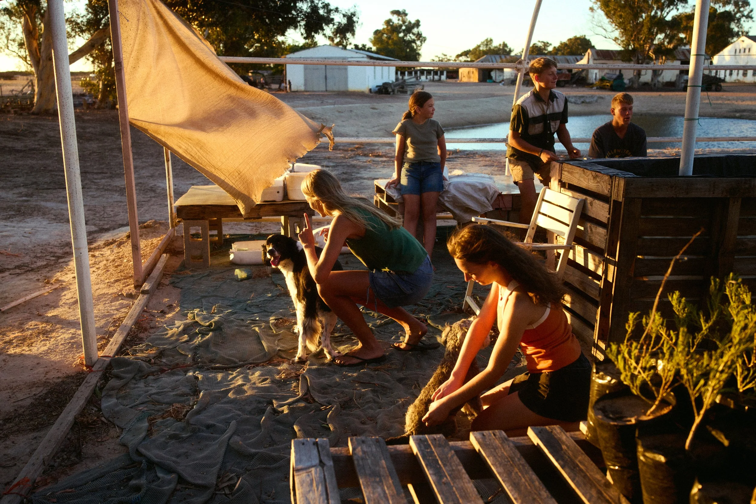 Grainbird_MoritzLeisen_Farmlife_006.jpg