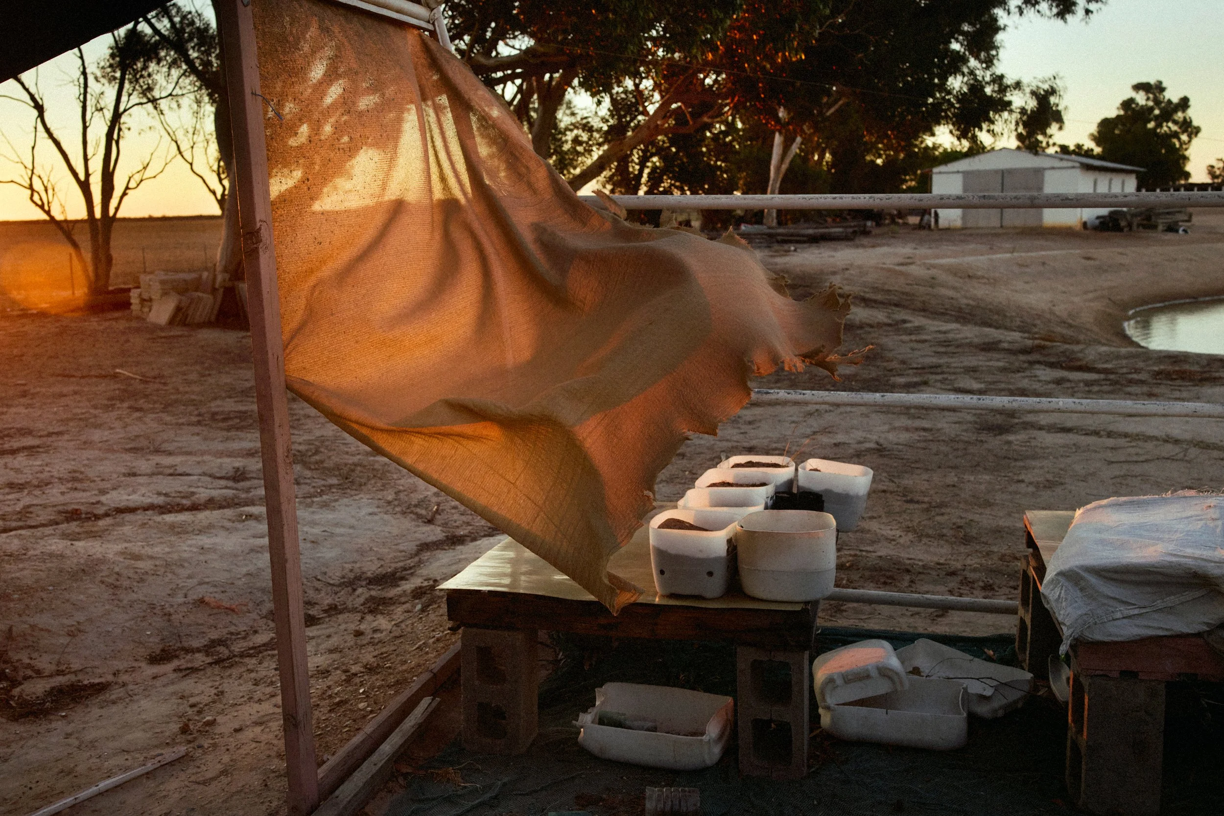 Grainbird_MoritzLeisen_Farmlife_013.jpg