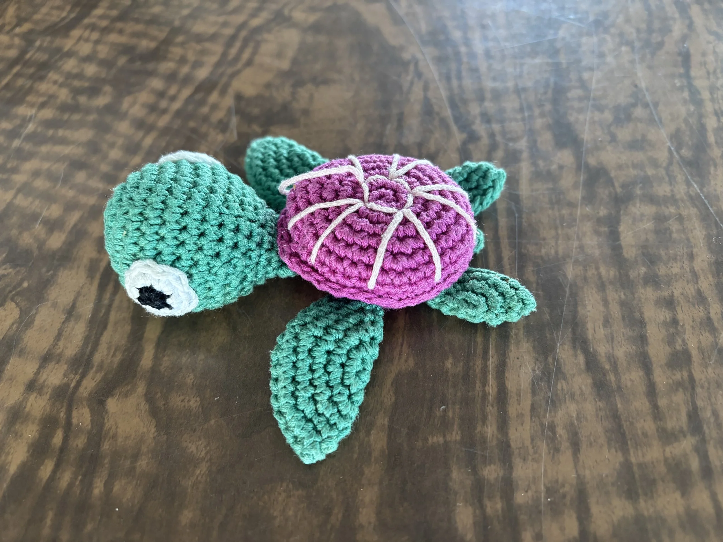 Very cute turtle - Left at LHH 22/3/26