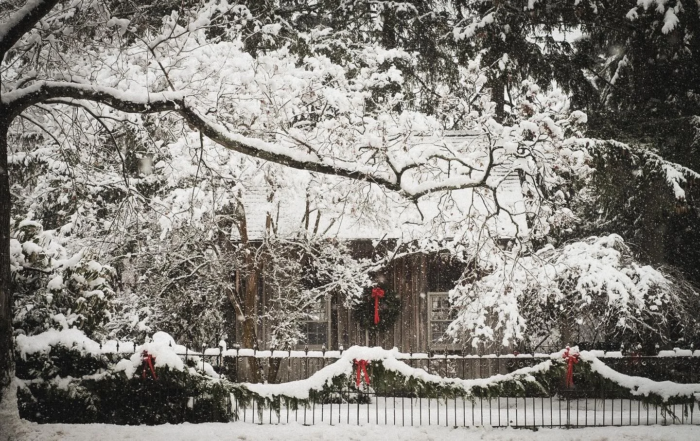 Season&rsquo;s greetings from By George Collective🥂