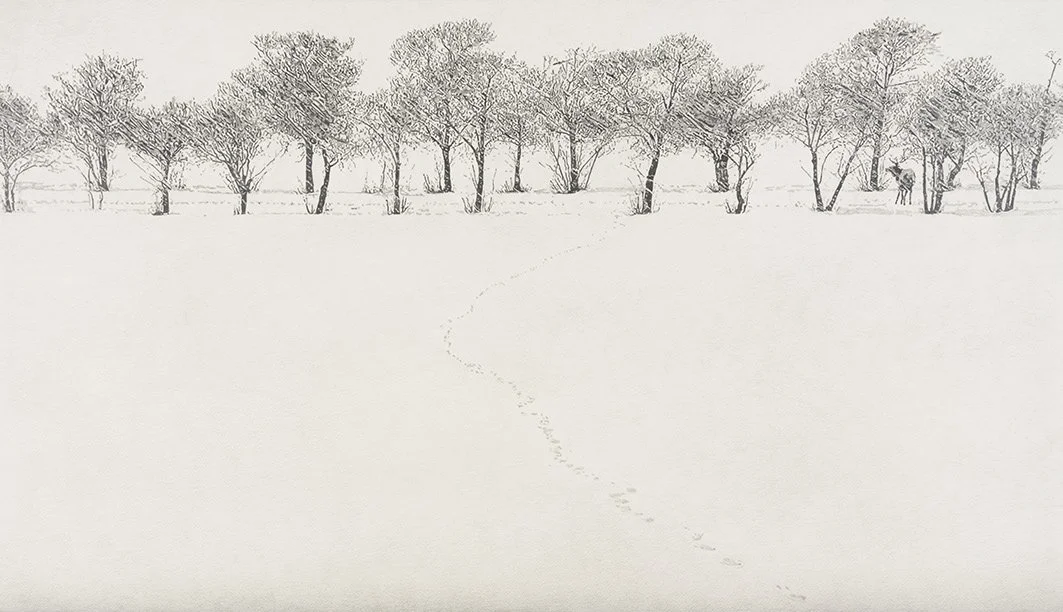 Eduard Árbos (dia.#15)