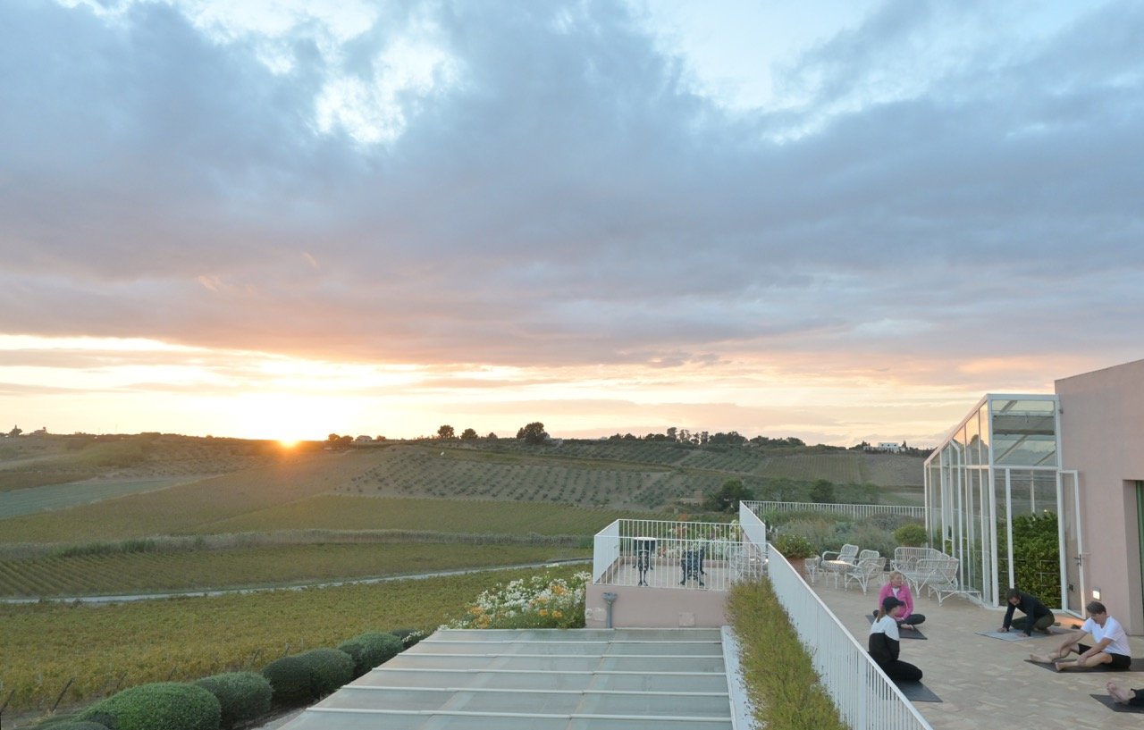 Yoga Retreat Sicily 2023 Alexandra Meffert luxury art wine tasting Planeta winery17.jpeg