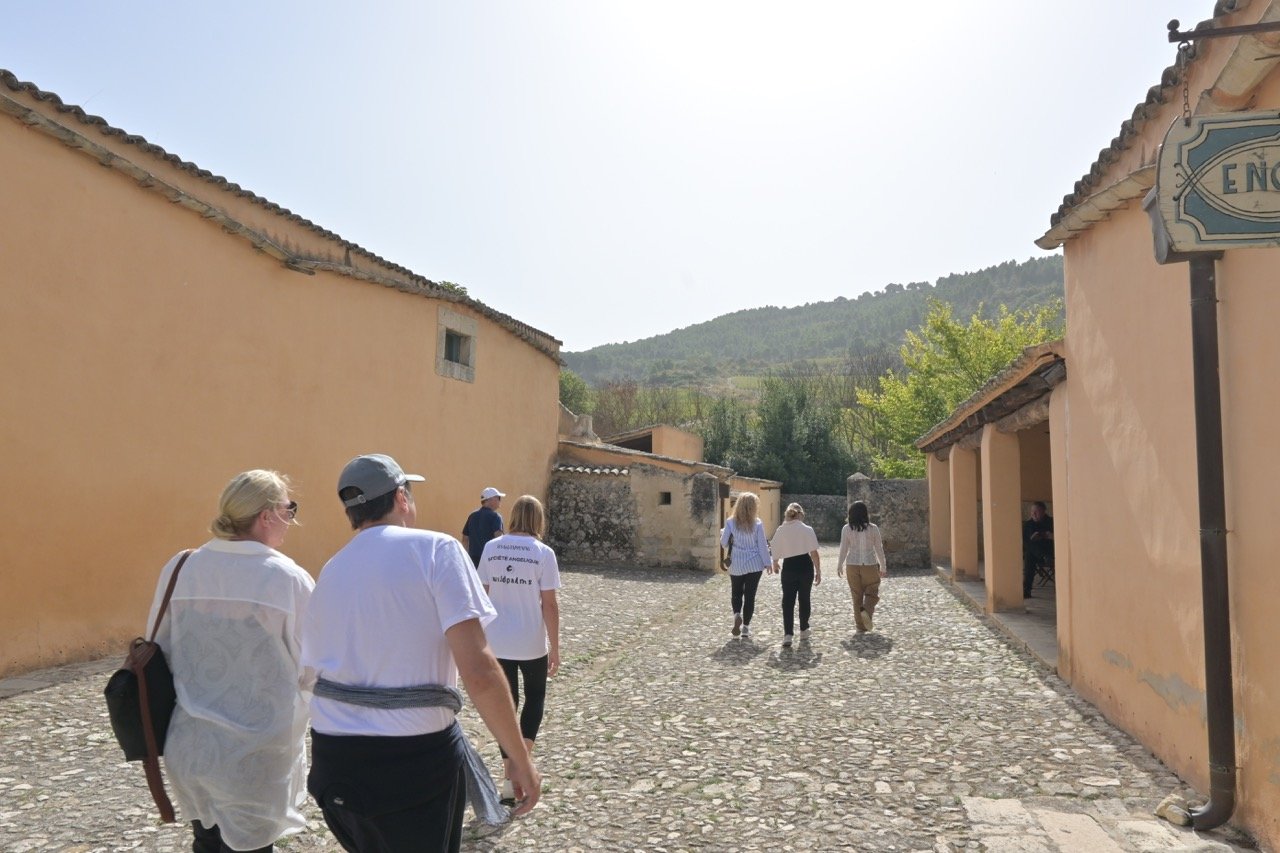 Yoga Retreat Sicily 2023 Alexandra Meffert luxury art wine tasting Planeta winery11.jpeg