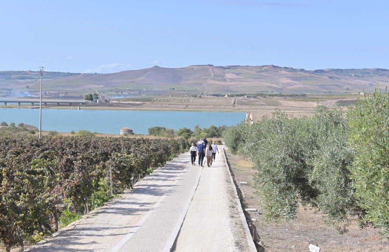 Yoga Retreat Sicily 2023 Alexandra Meffert luxury art wine tasting Planeta winery14.jpeg