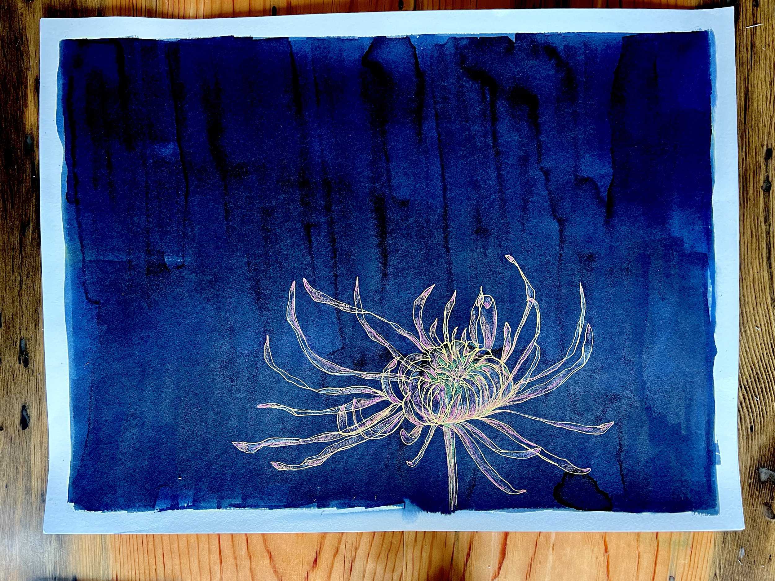 chrysanthemum.jpg