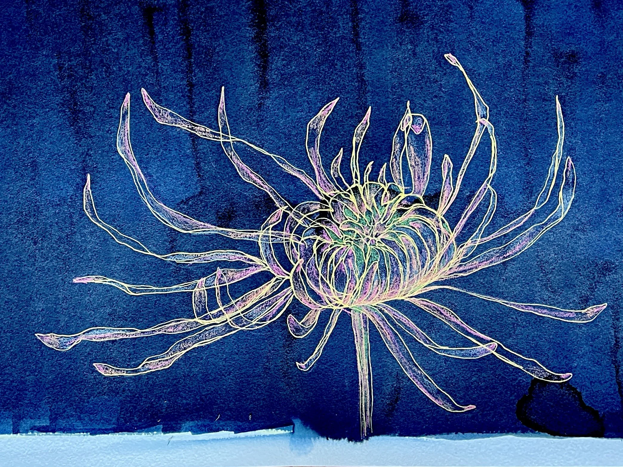 chrysanthemum-3.jpg