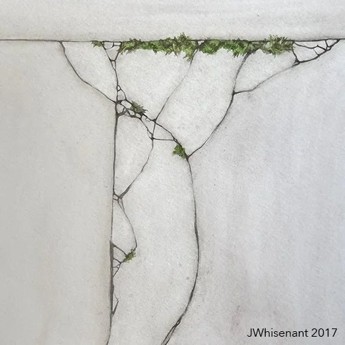 JWhisenant_sidewalk12.jpg