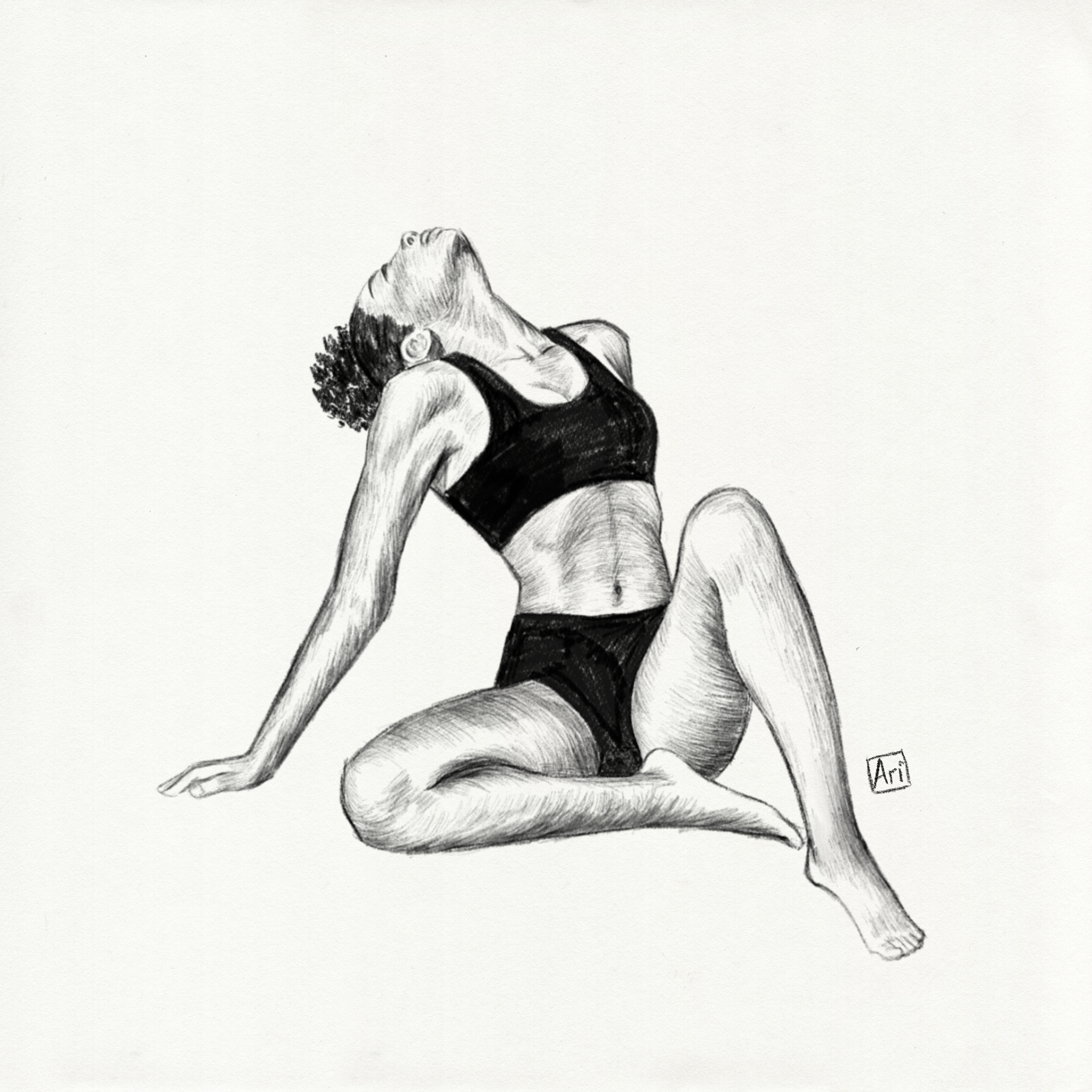 Untitled_Artwork 19.png