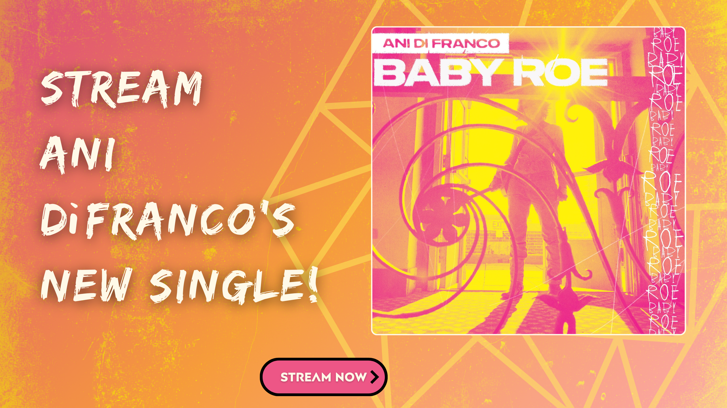 Baby Roe RBR Homepage Shopify Banner Template.png
