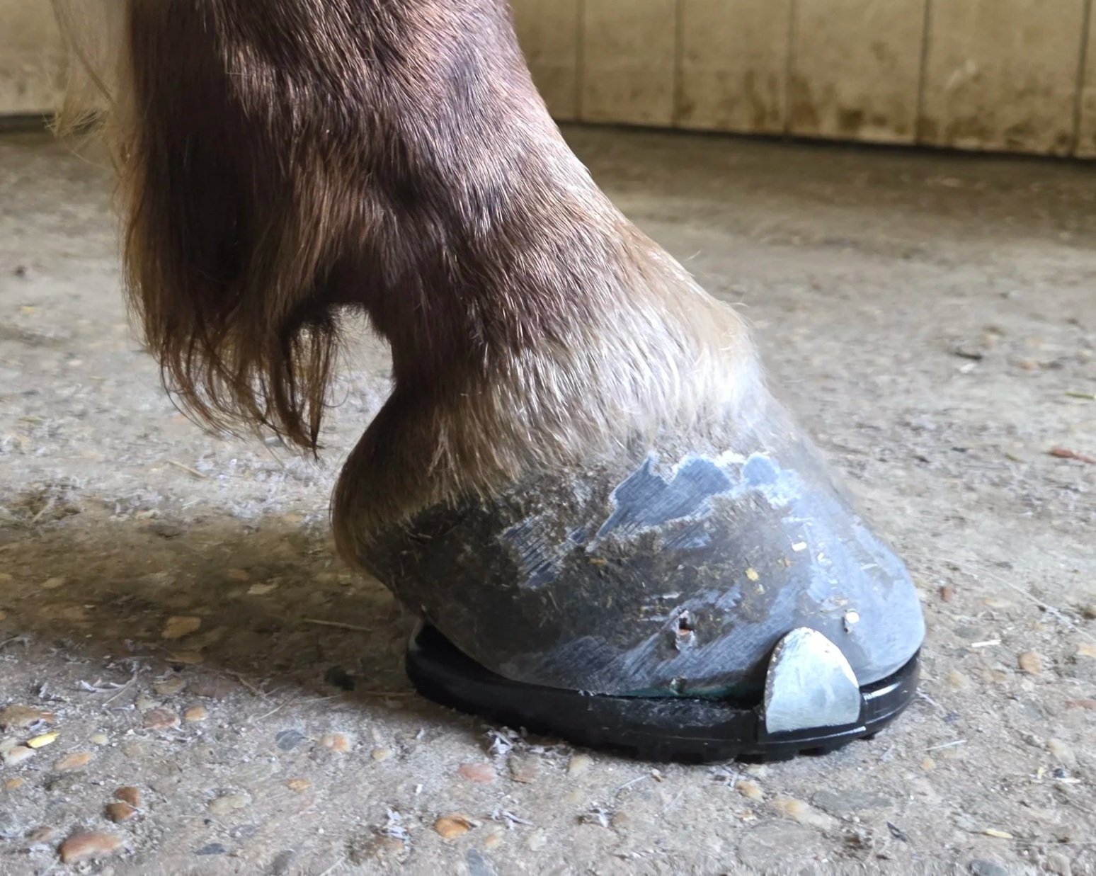 Easycare Soma genageld beslag