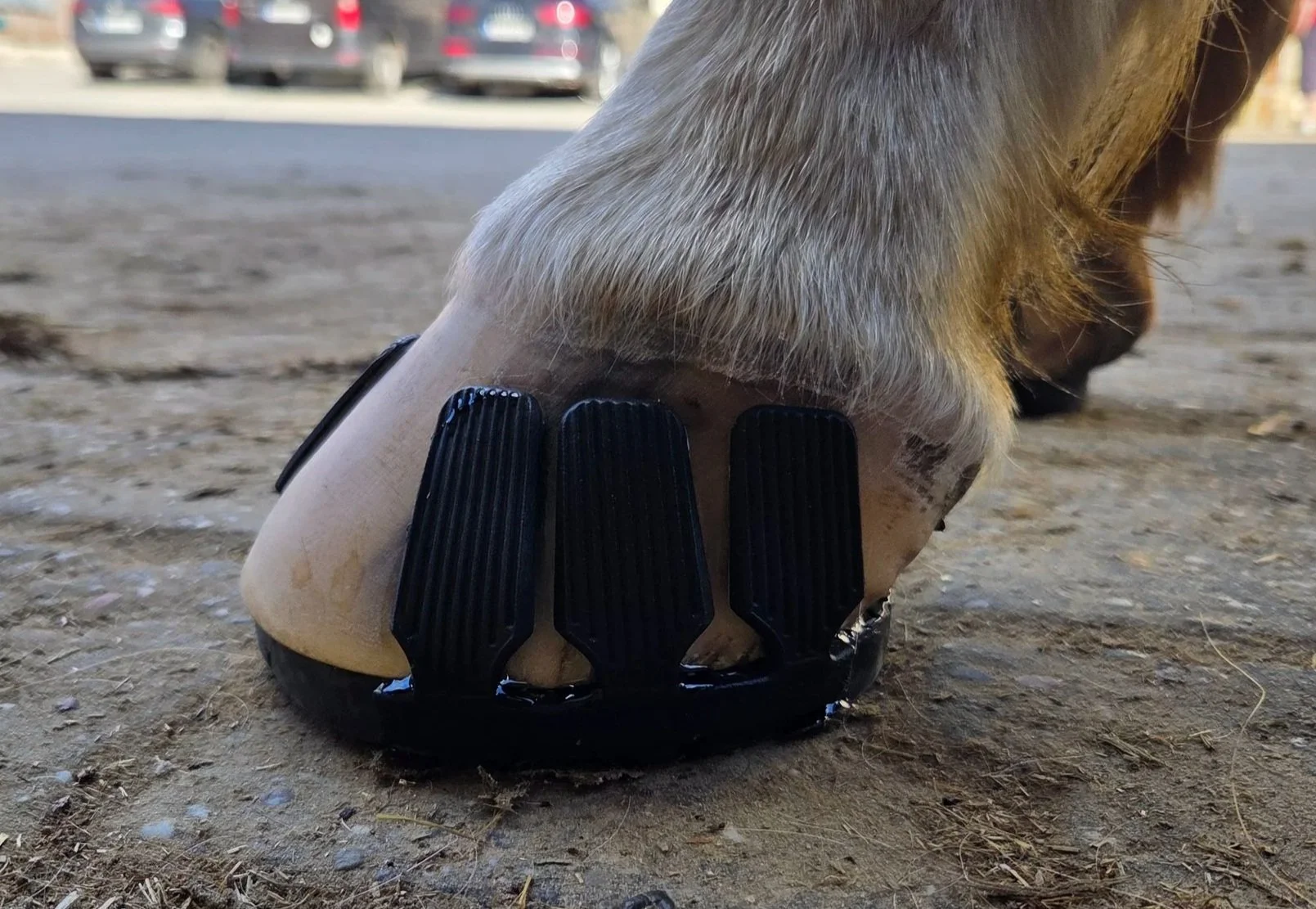 Goodsmith lijmbeslag