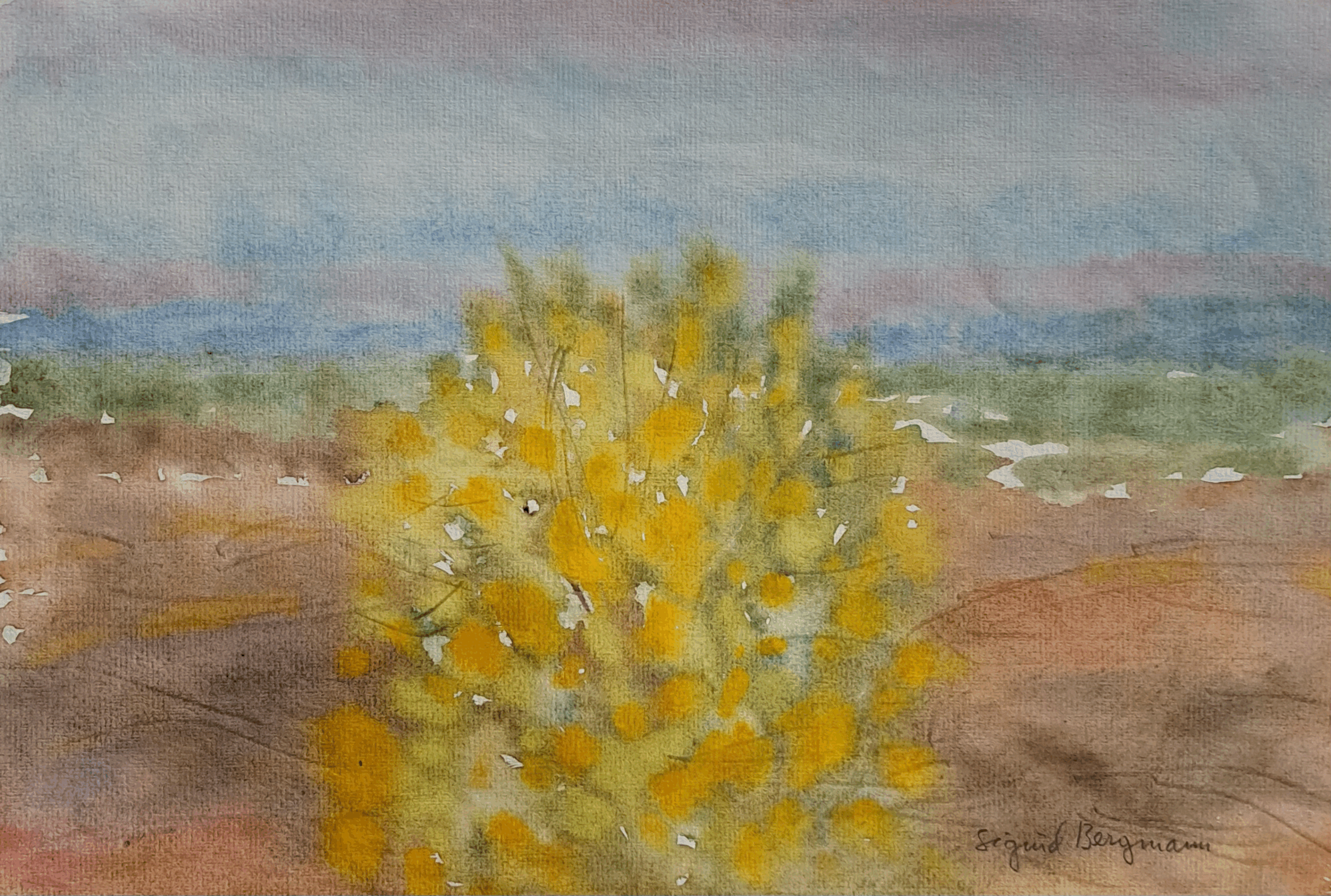 In the Autumn Mountains