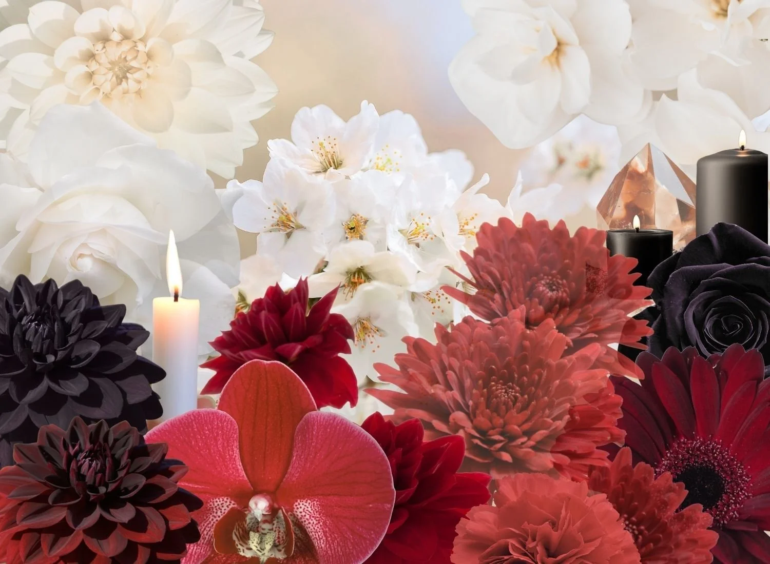 White, Red and Black Tantra: Exploring the Three Paths