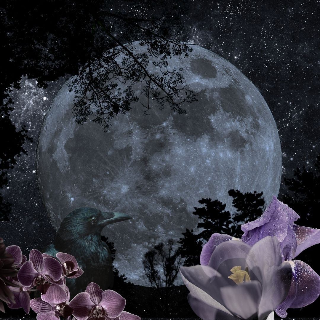 Dark Moon Meditation