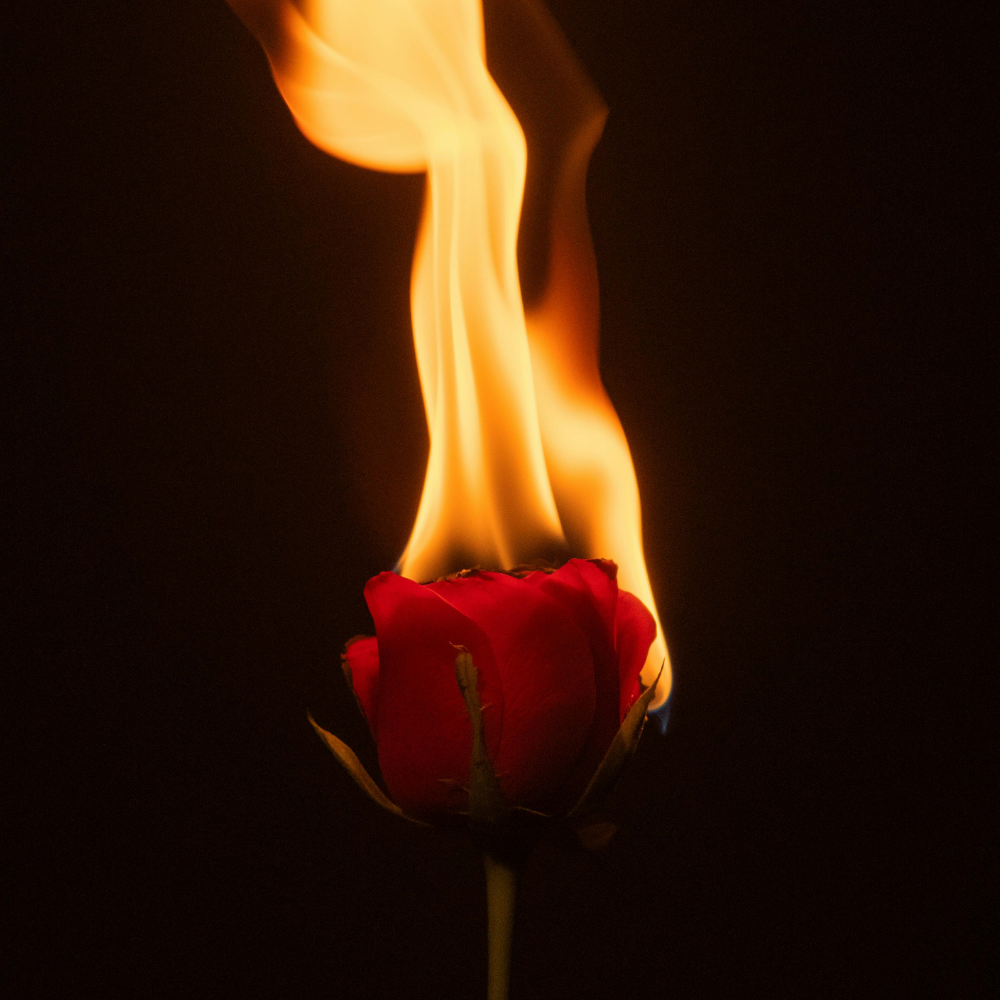 Temple ❤️‍🔥 | Private Event