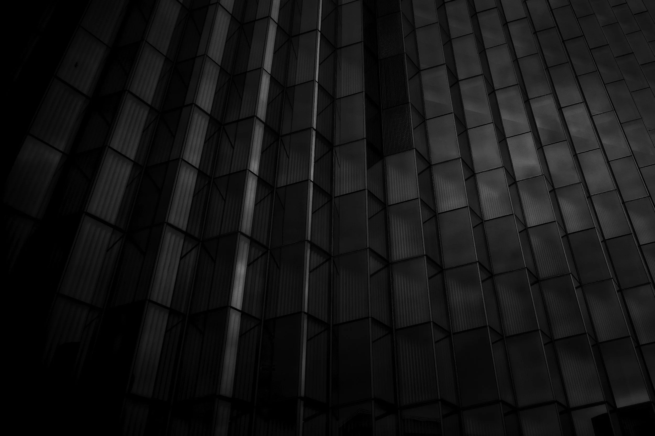 rise building trust xNEXT