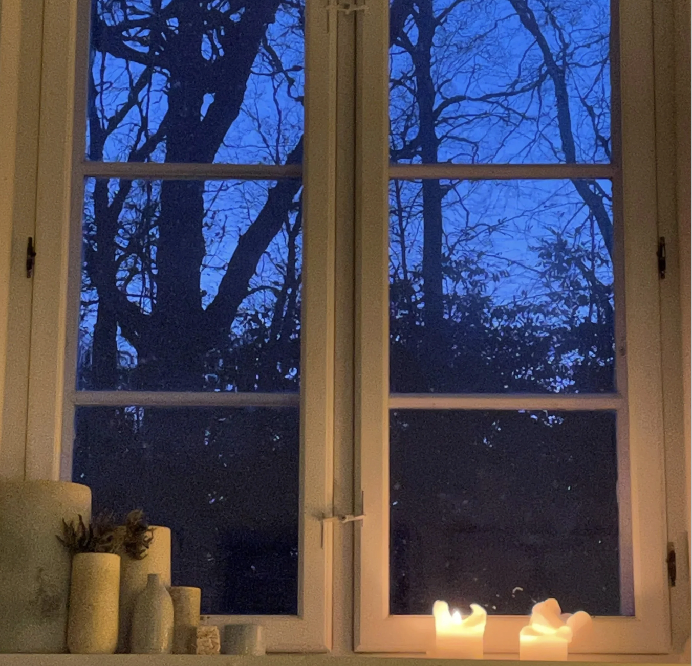 Livet i skoven # 1: det dybe åndedræt 