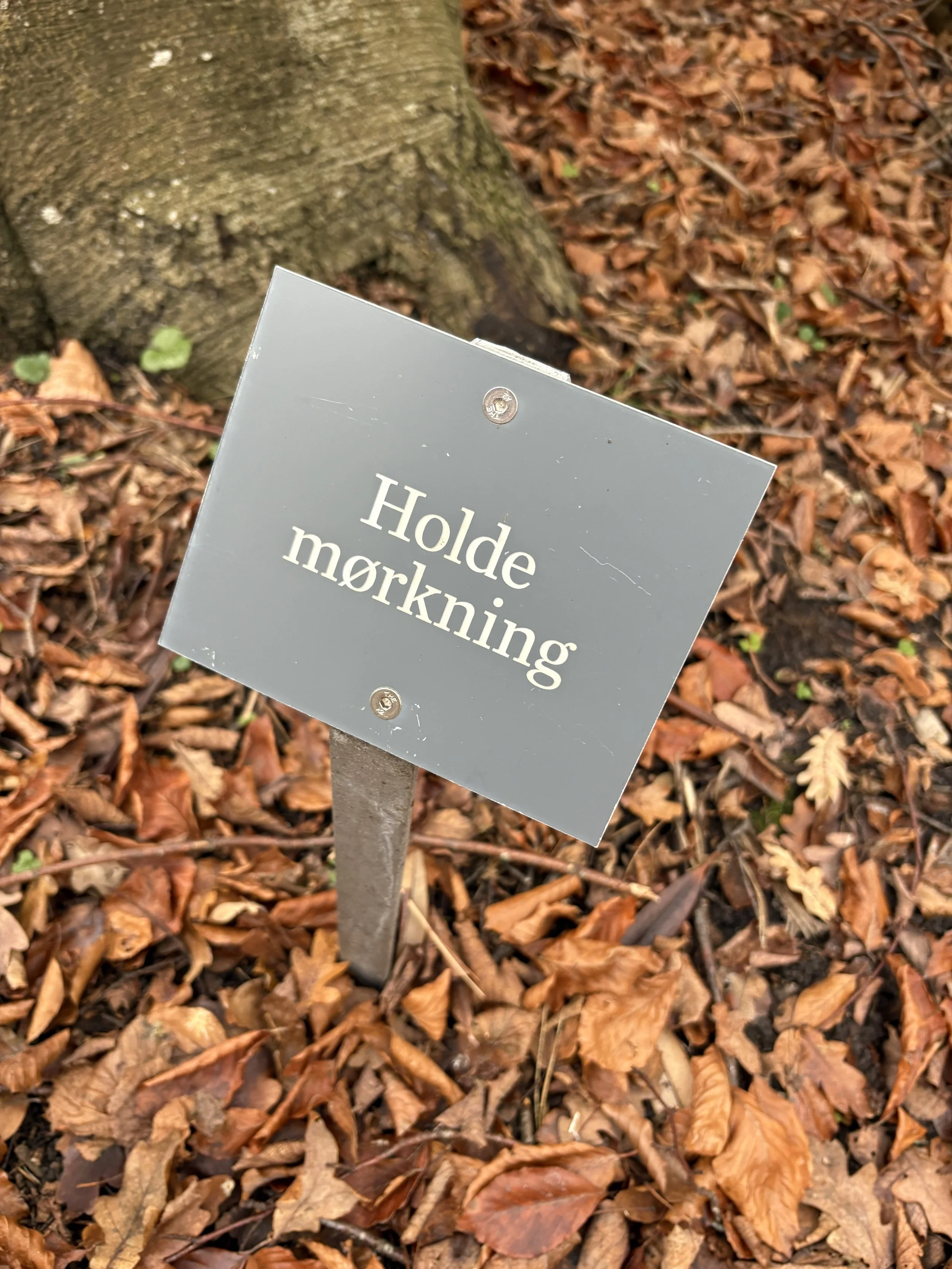 LIVET I SKOVEN 4: AT OMFAVNE MØRKET