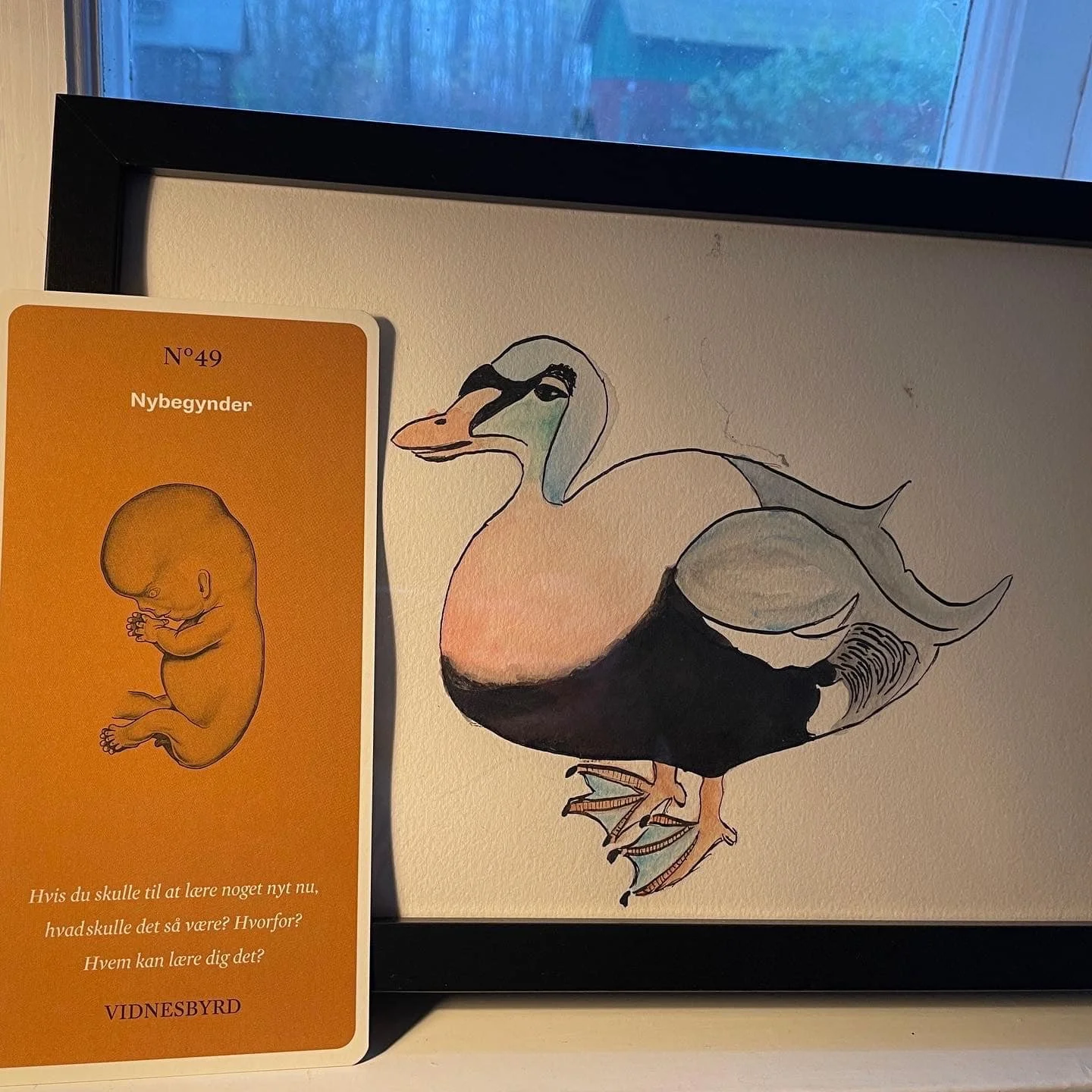 LIVET I SKOVEN # 5: VOKSEN NYBEGYNDER