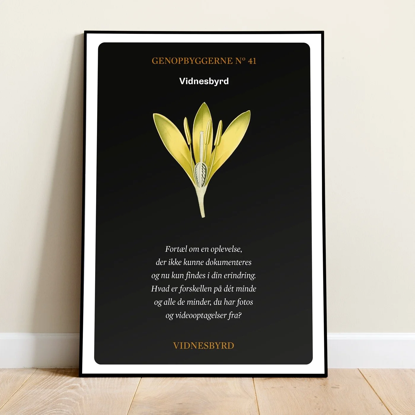 VIDNESBYRD: Plakat 70X90: LIMITED EDITION