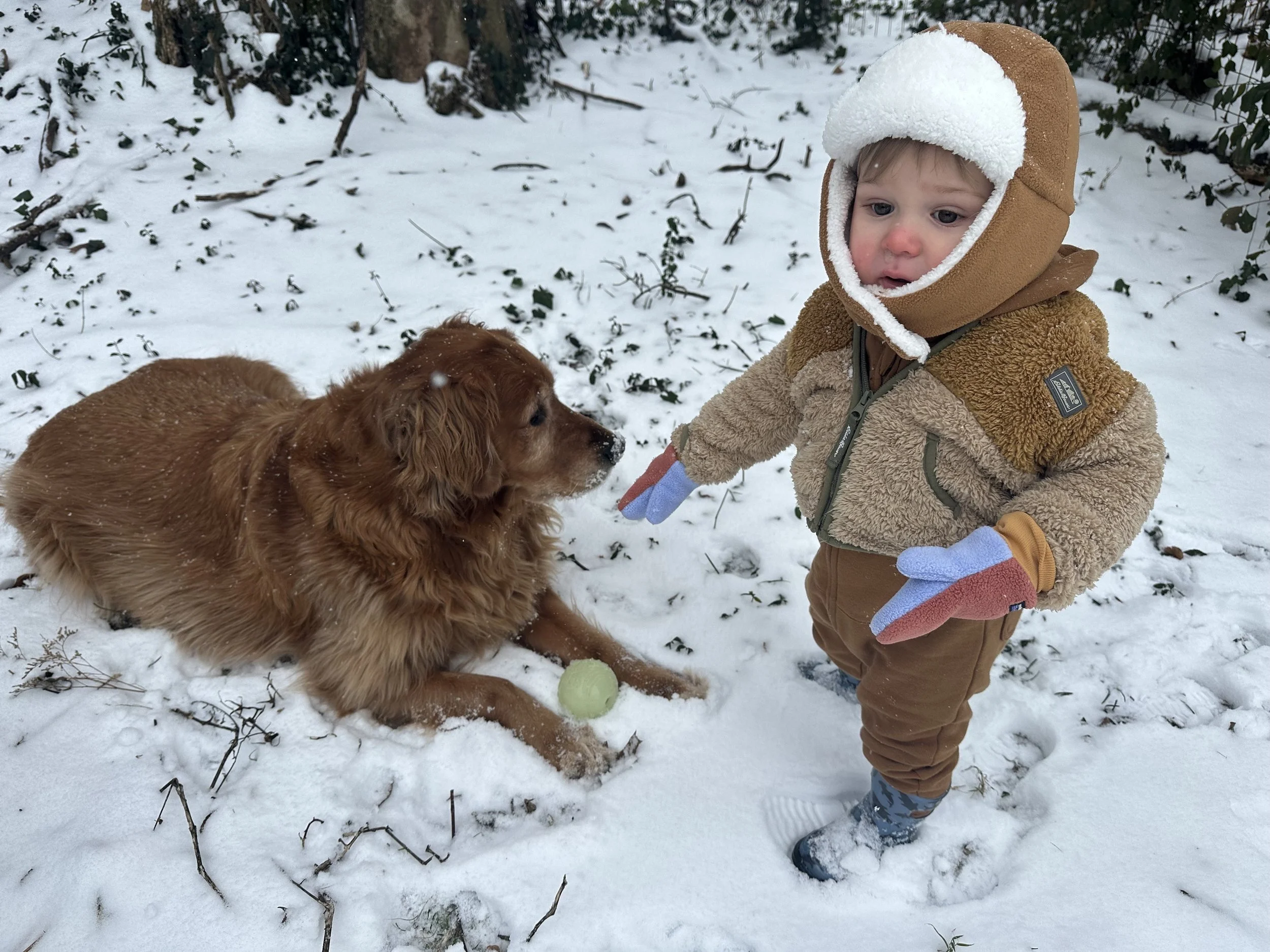 Snowy Day Family Worship Guide