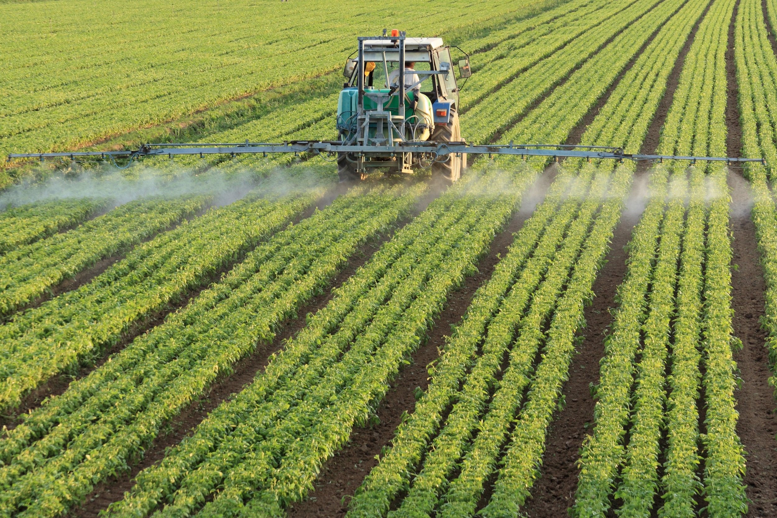 Farmer on a tractor in a field