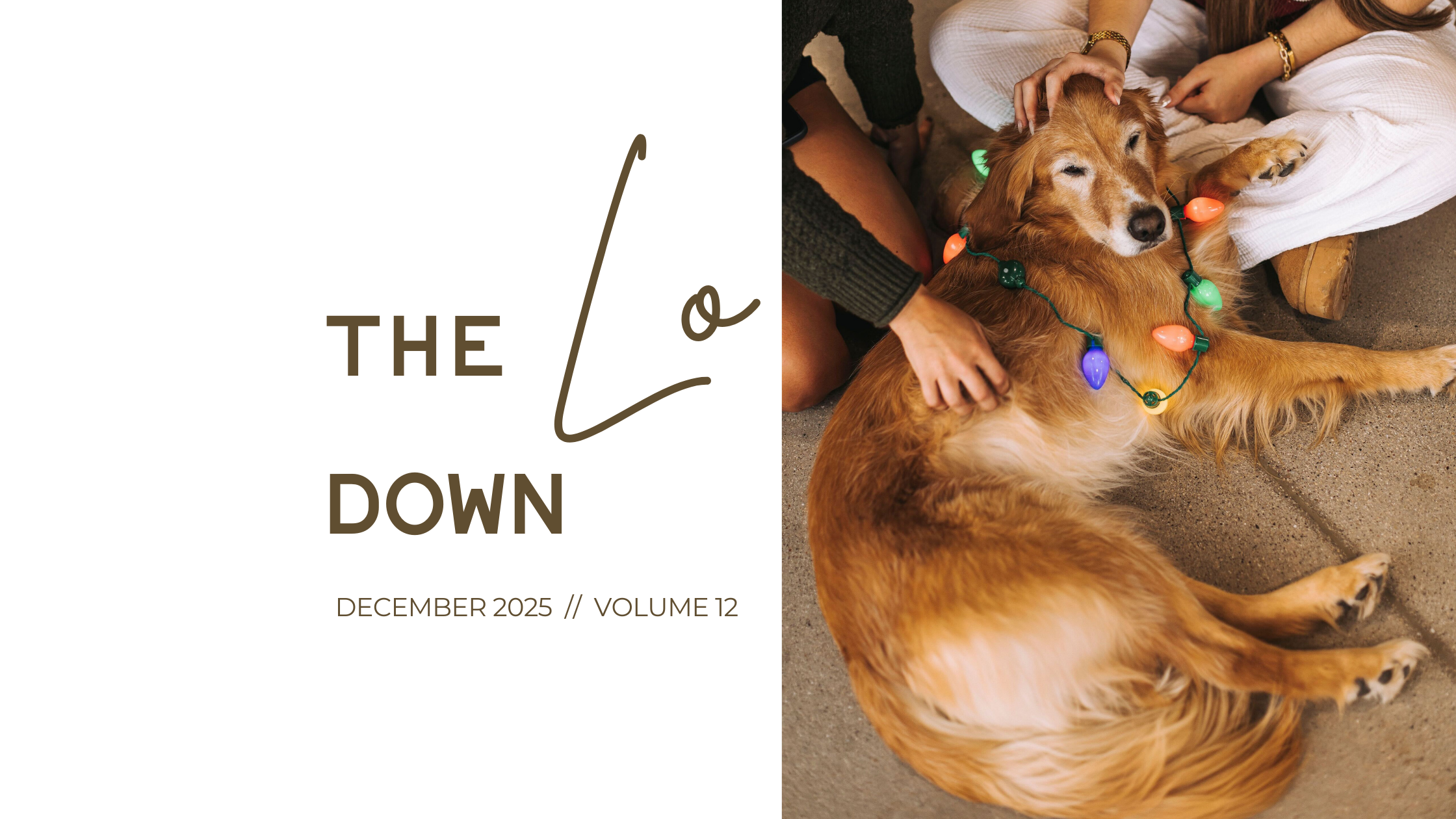 Wrapped in Gratitude — The LO DOWN, Vol. 12
