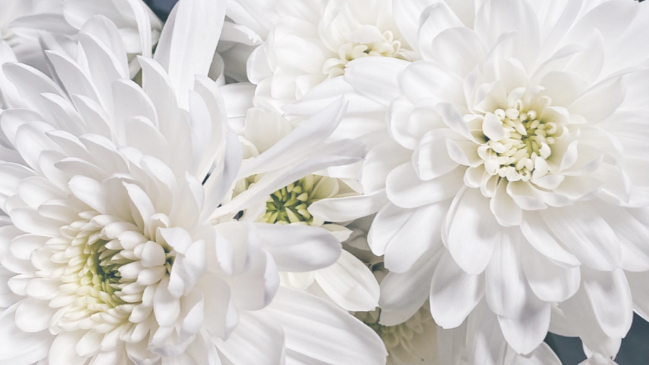 May News + Mother’s Day Specials