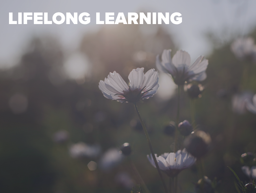 Lifelong Learning.png