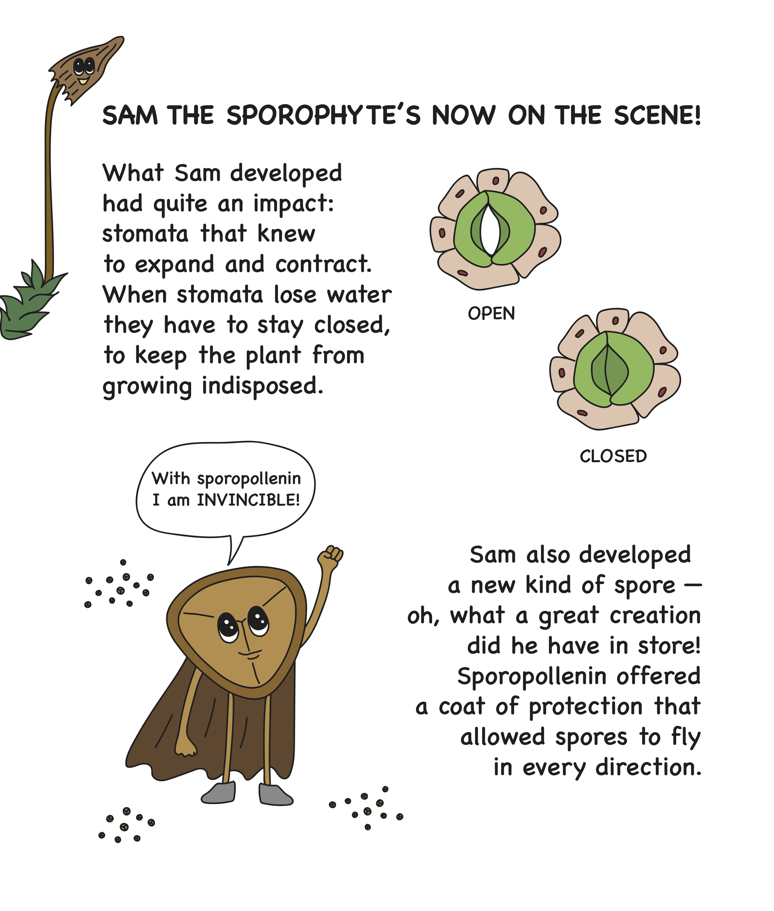 Childrens Book p 5.png