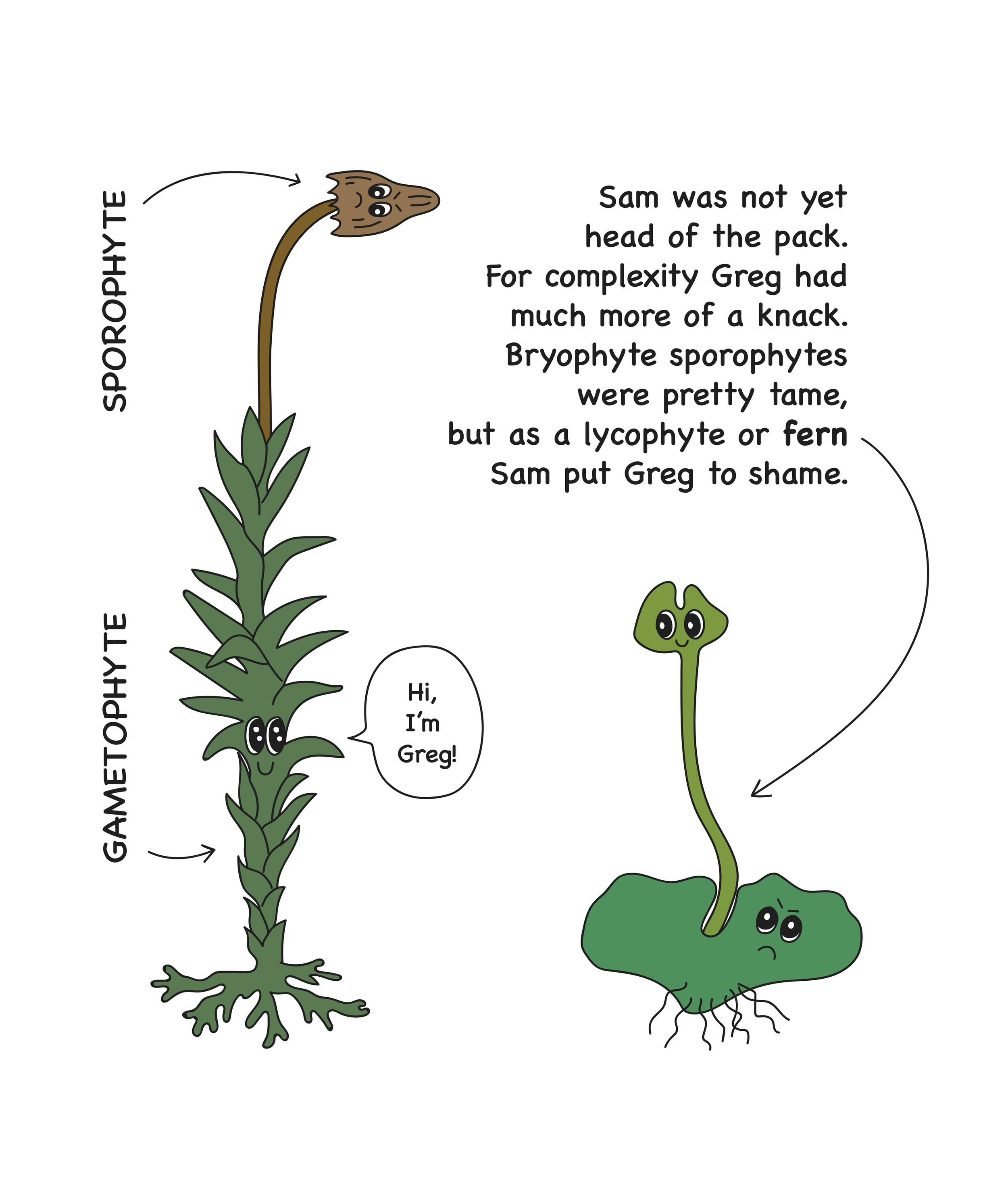 Childrens Book p 7.png