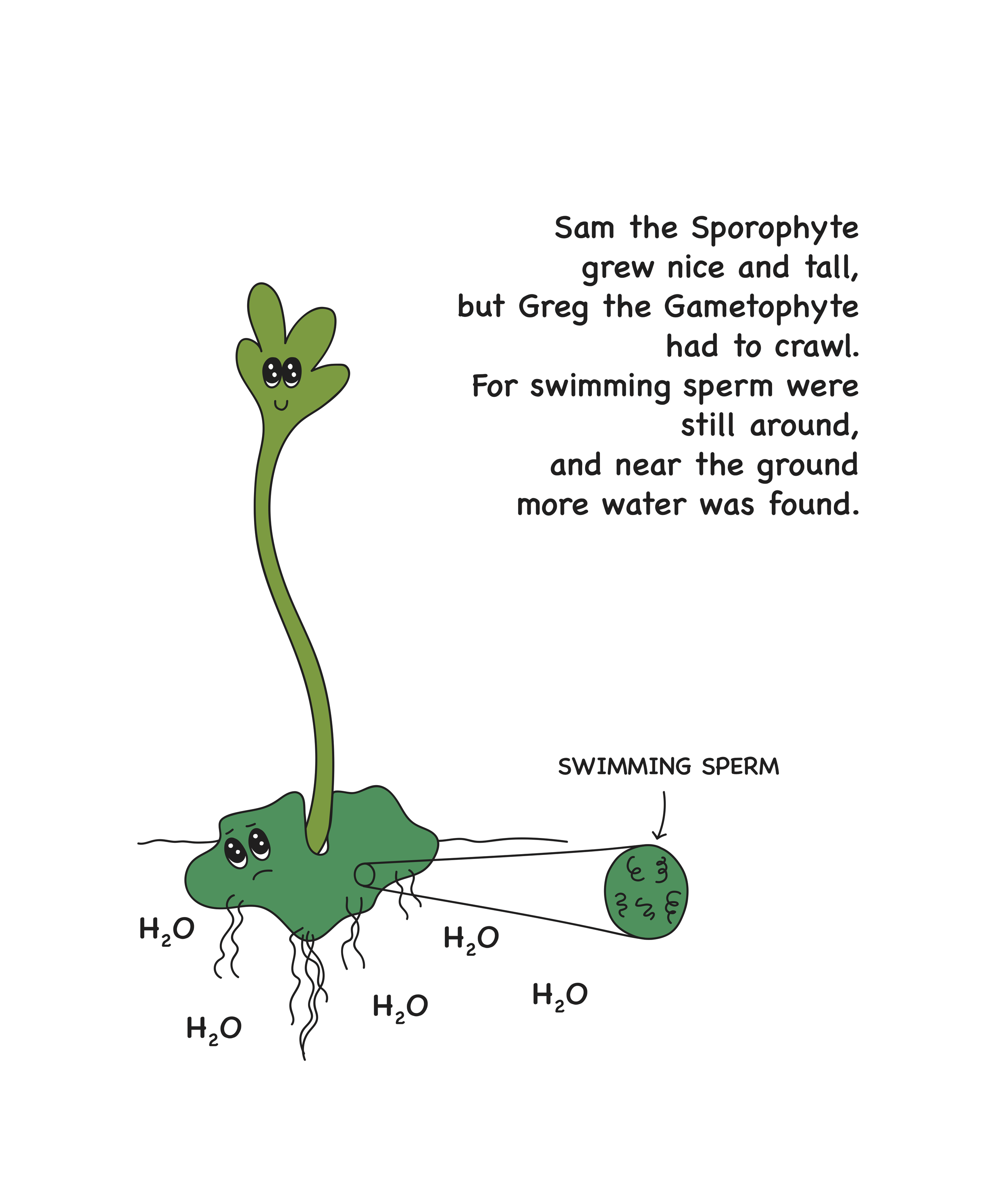 Childrens Book p 8.png