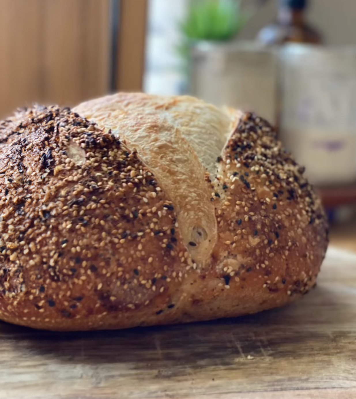 everything-but-the-bagel-02.jpg