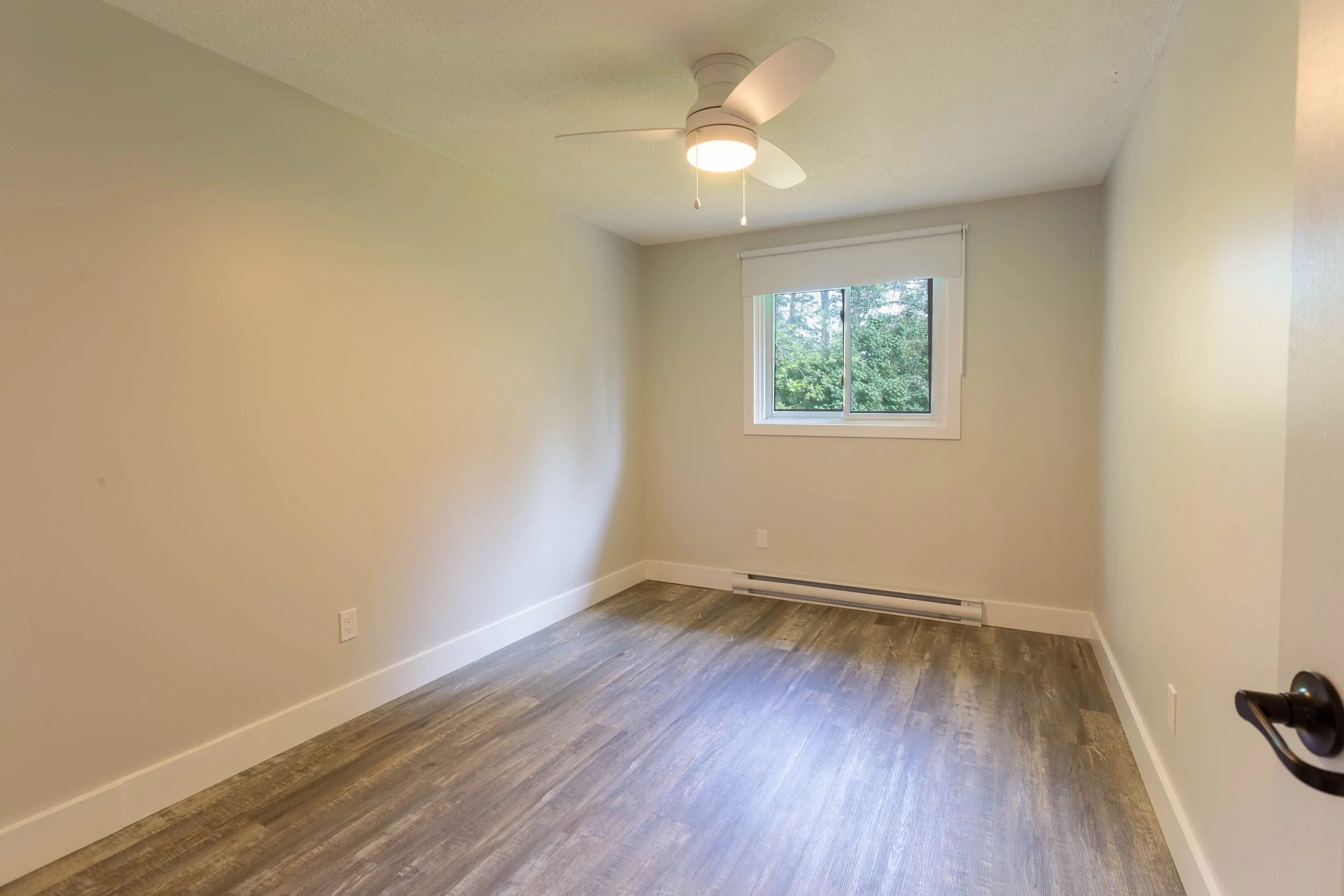 Basswood-12.jpg