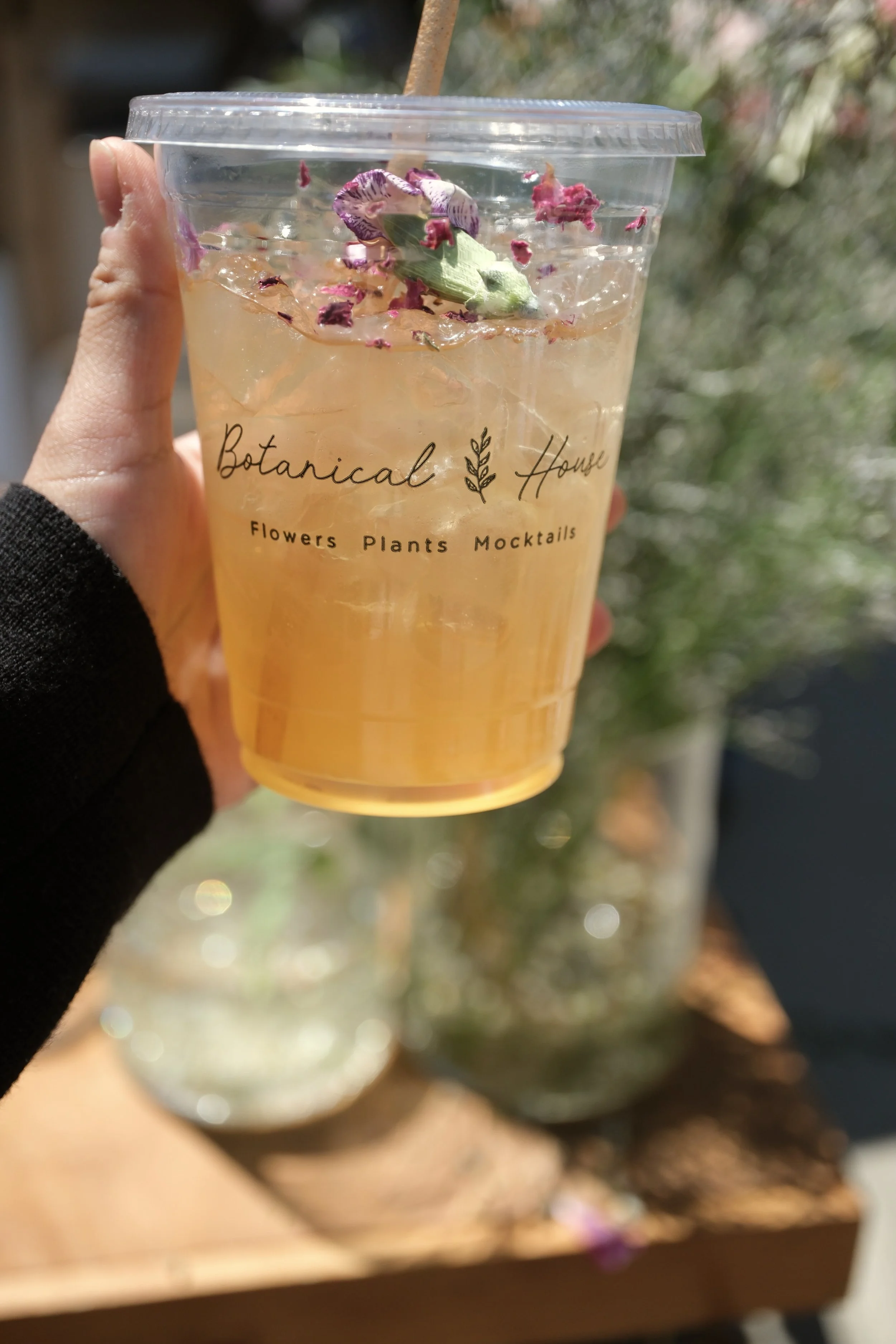 A hand holding a mocktail in a to-go cup with edible flowers in it (in Charlotte North Carolina)